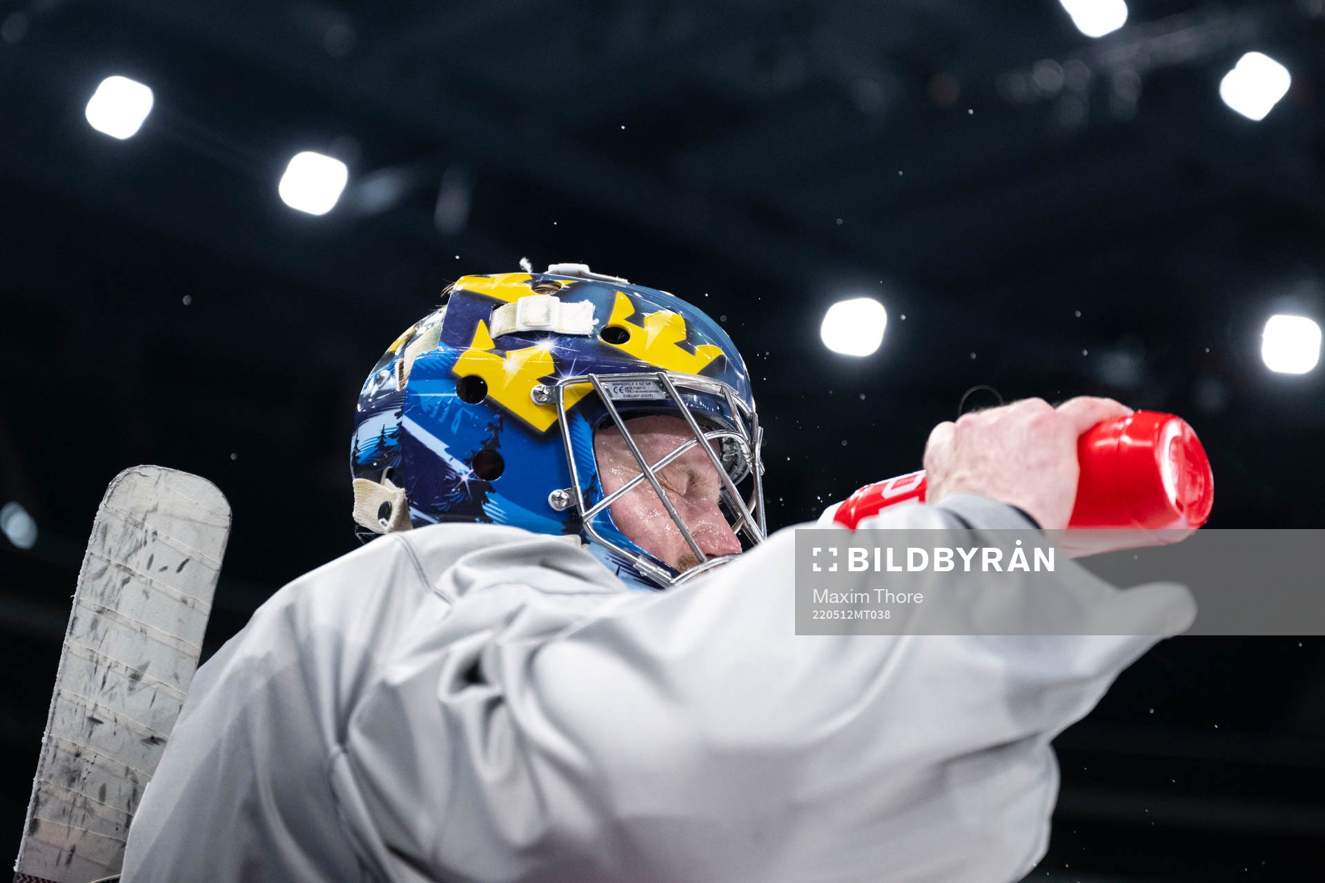 Goaltender Oscar Dansk