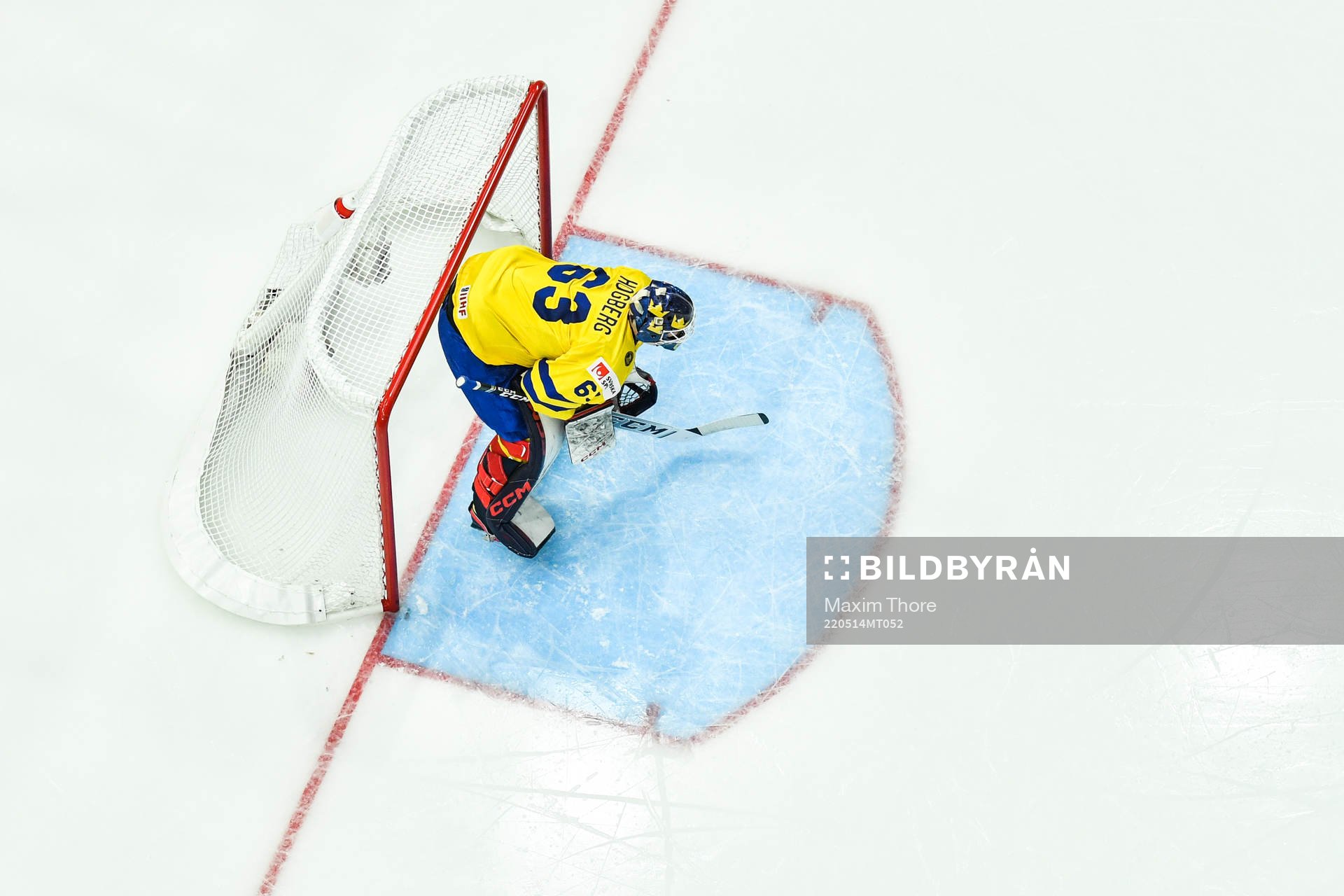 goaltender Marcus Högberg of Sweden
