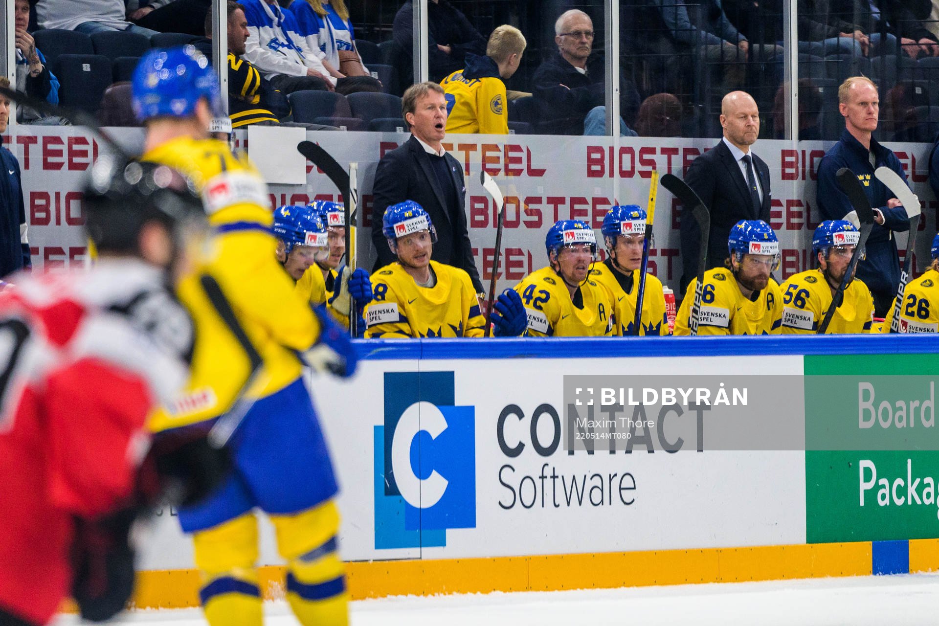 head coach Johan Garpenlöv of Sweden