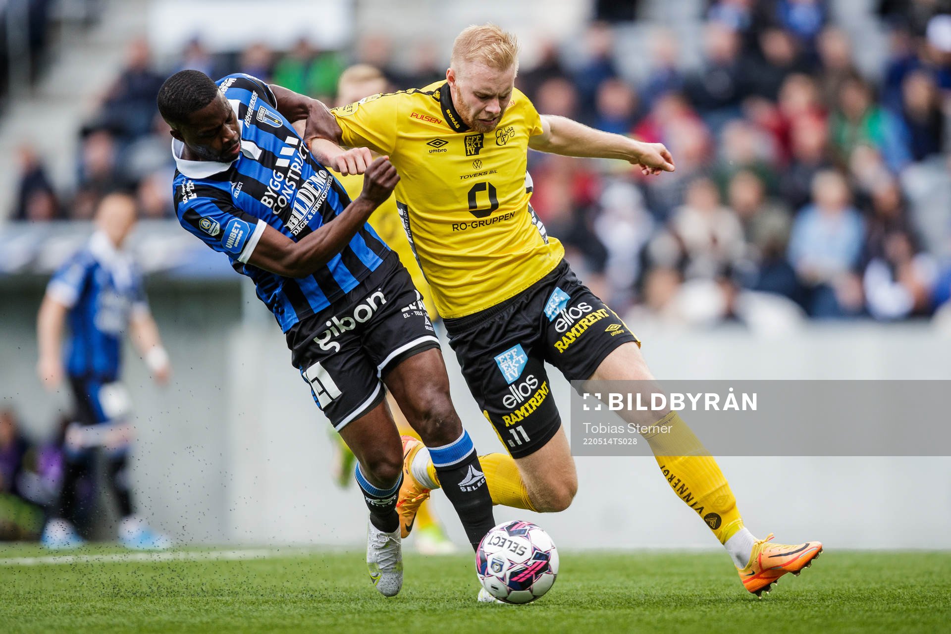 Sirius Isak Ssali Ssewankambo och Elfsborgs Sveinn