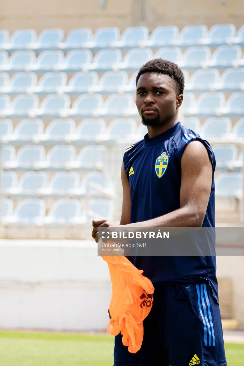 I denna handout-bild från Svenska Fotbollförbundet syns