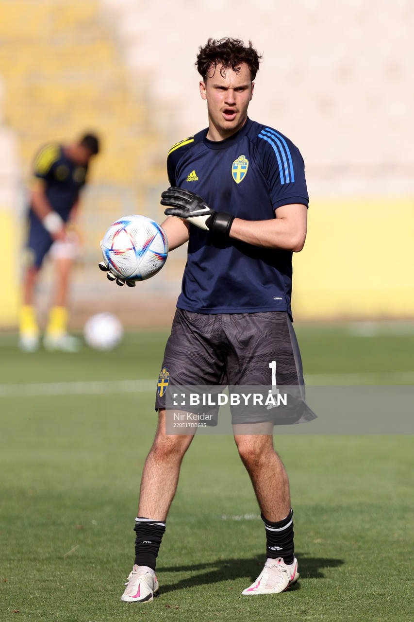Elis Bishesari