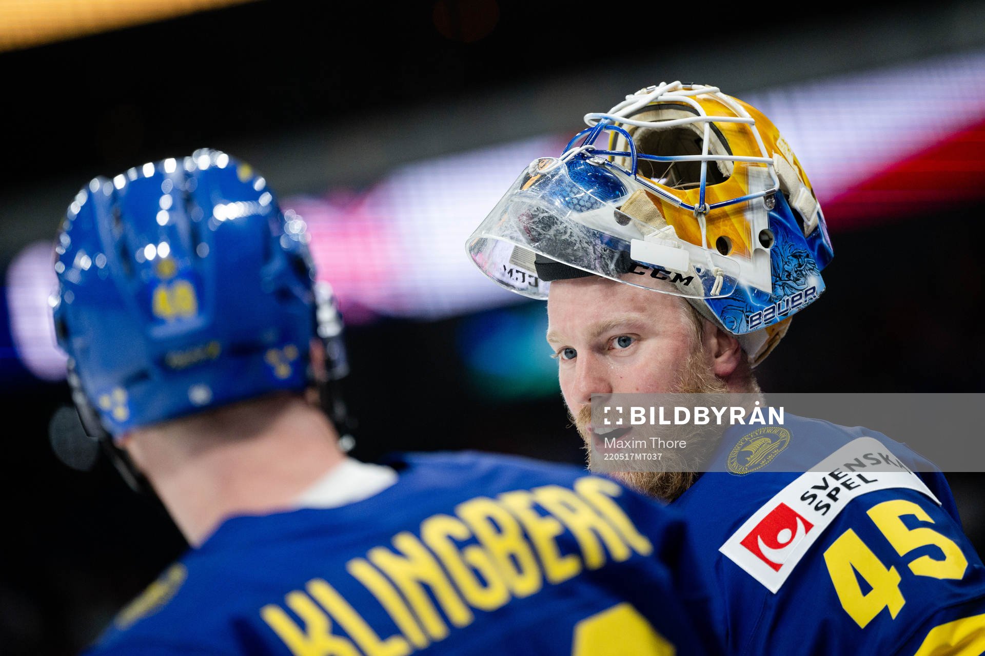 Goalkeeper Magnus Hellberg of Sweden