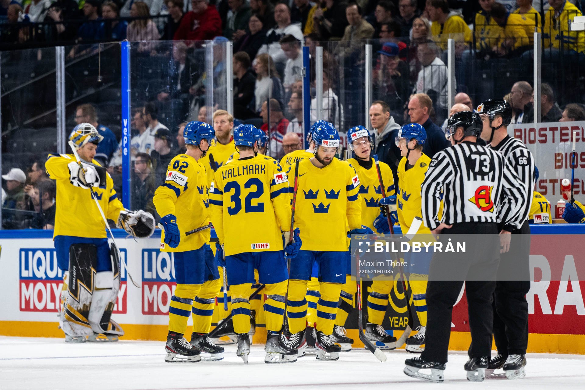 Players of Sweden