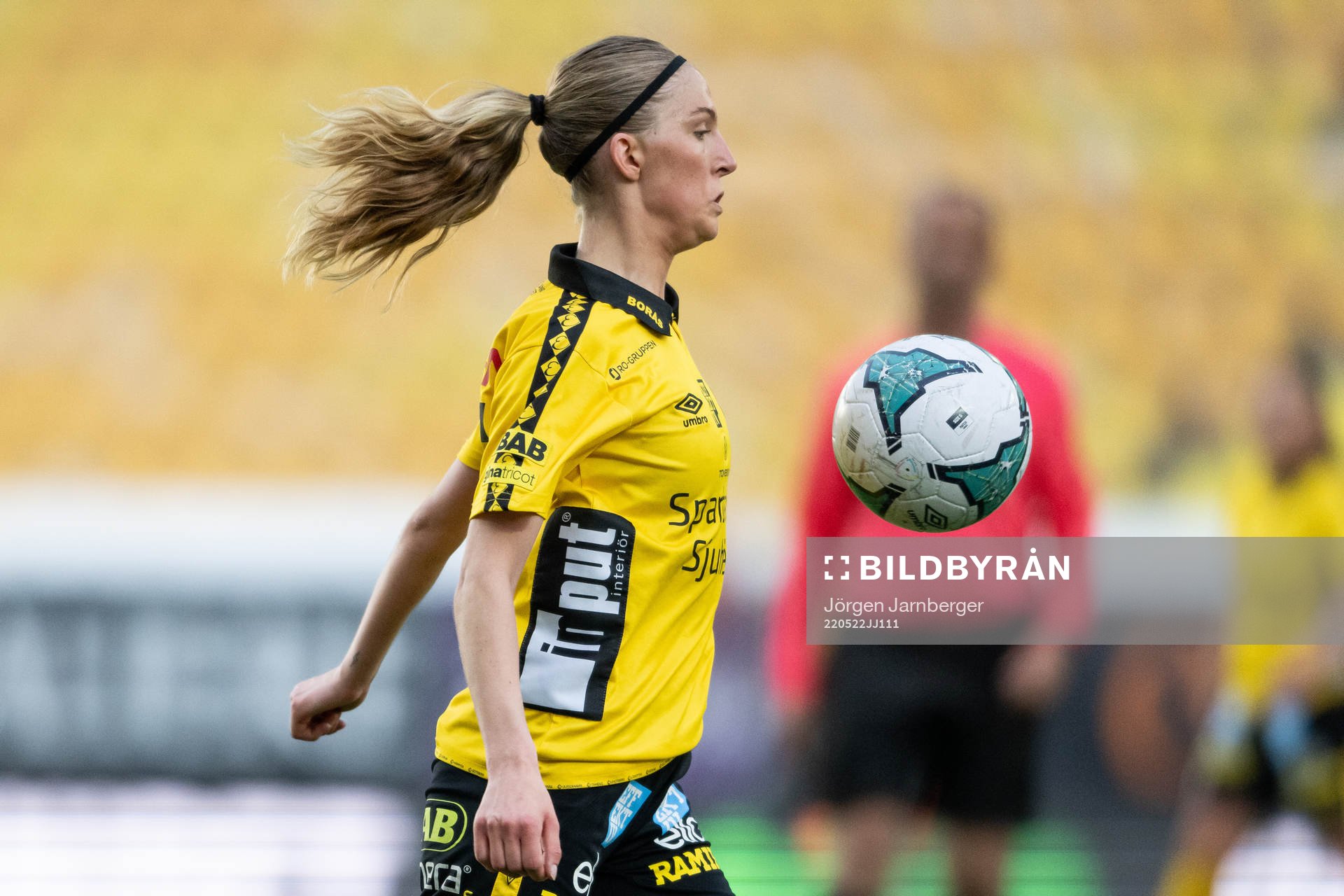 Elfsborgs Saga Andersson
