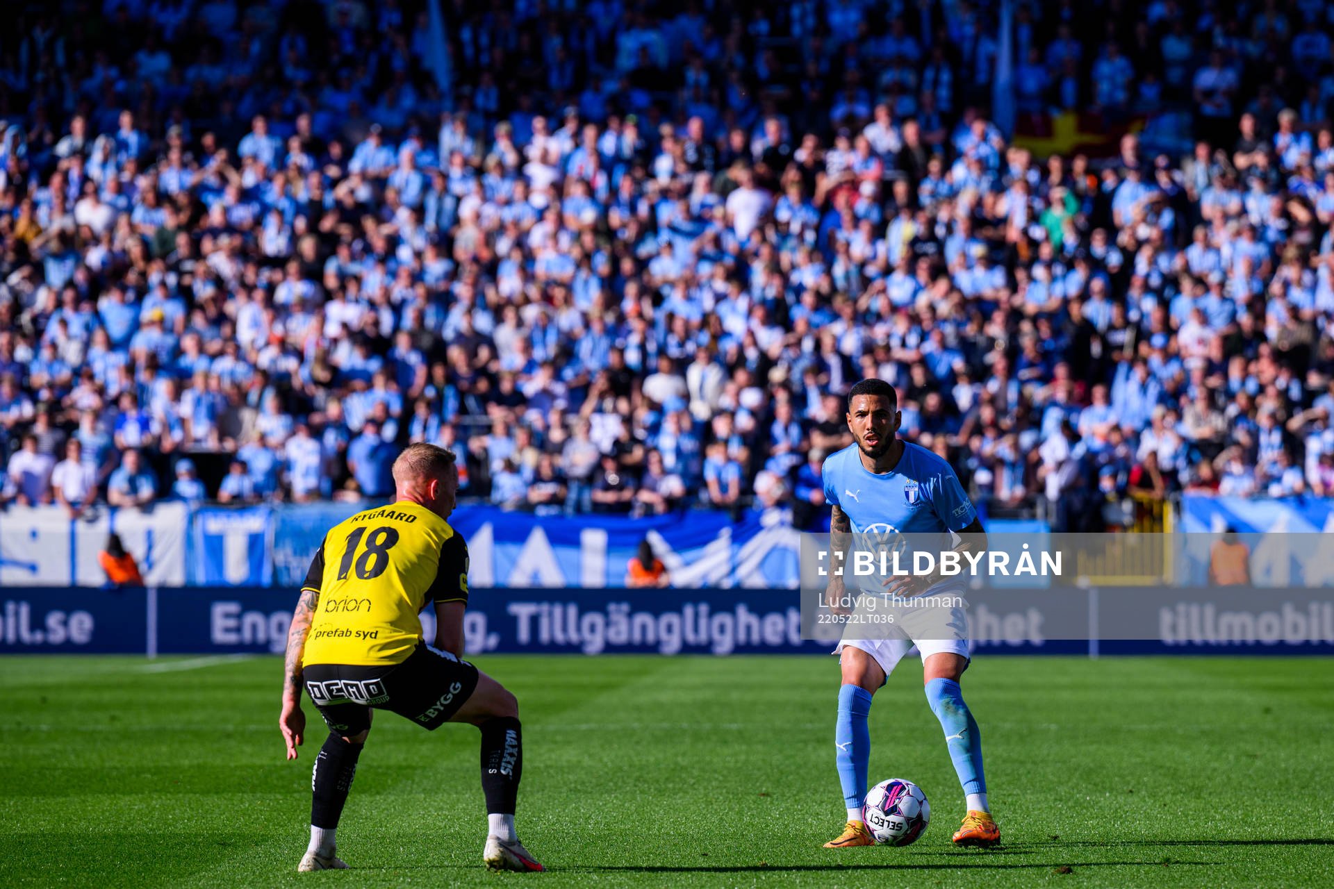 Malmö FFs Sergio Pena