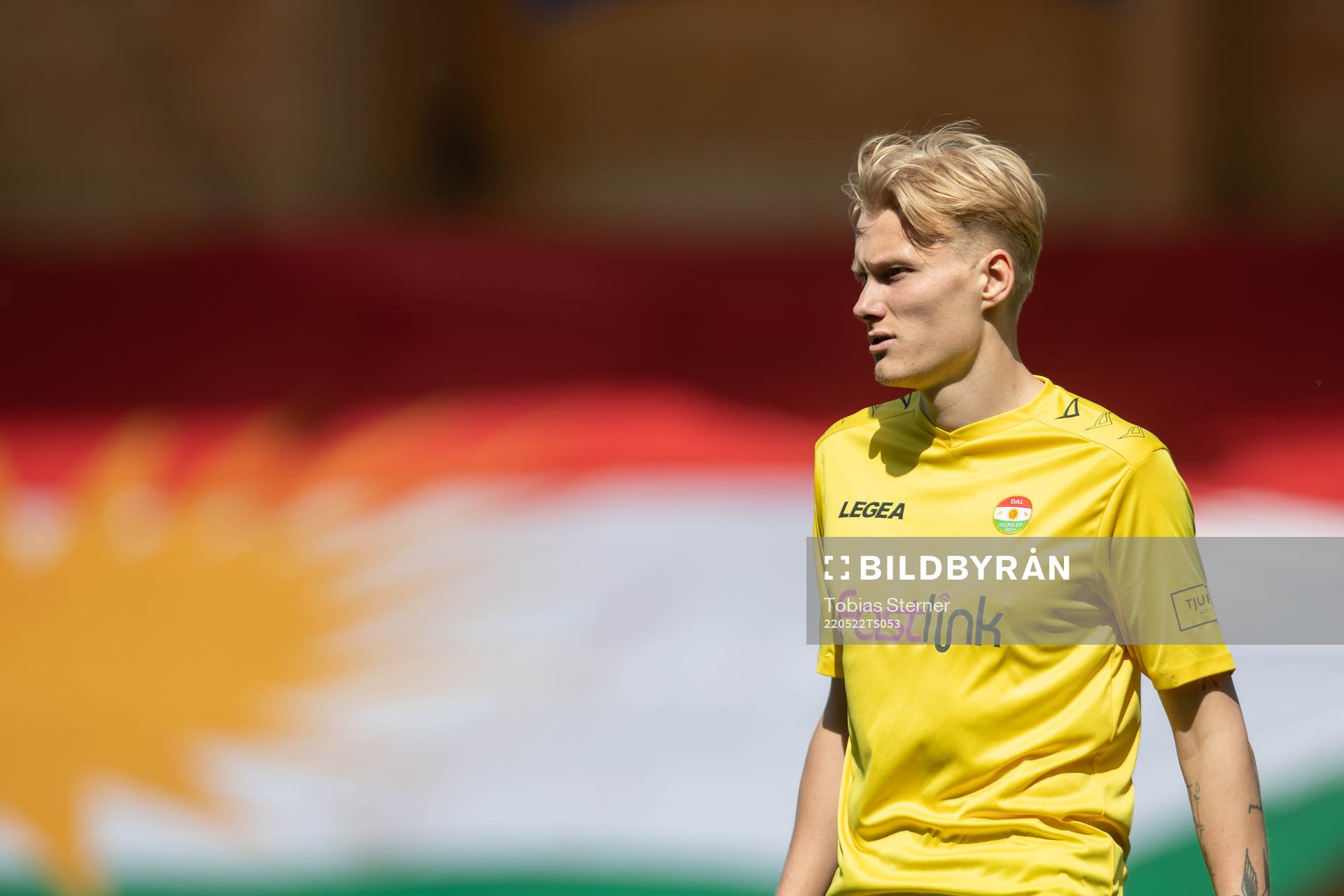 Dalkurds Filip Örnblom
