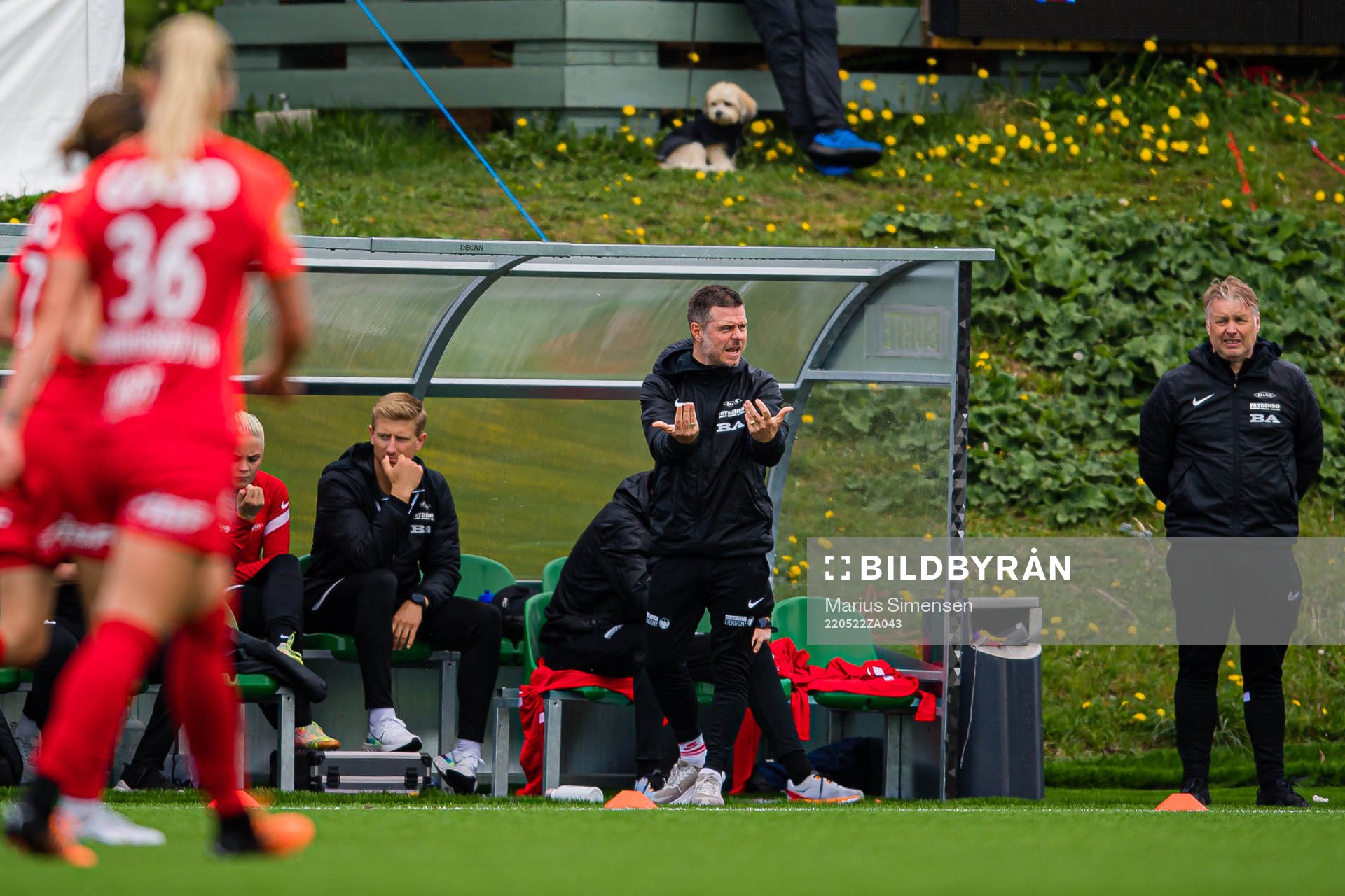 Alexander Straus, head coach of Brann