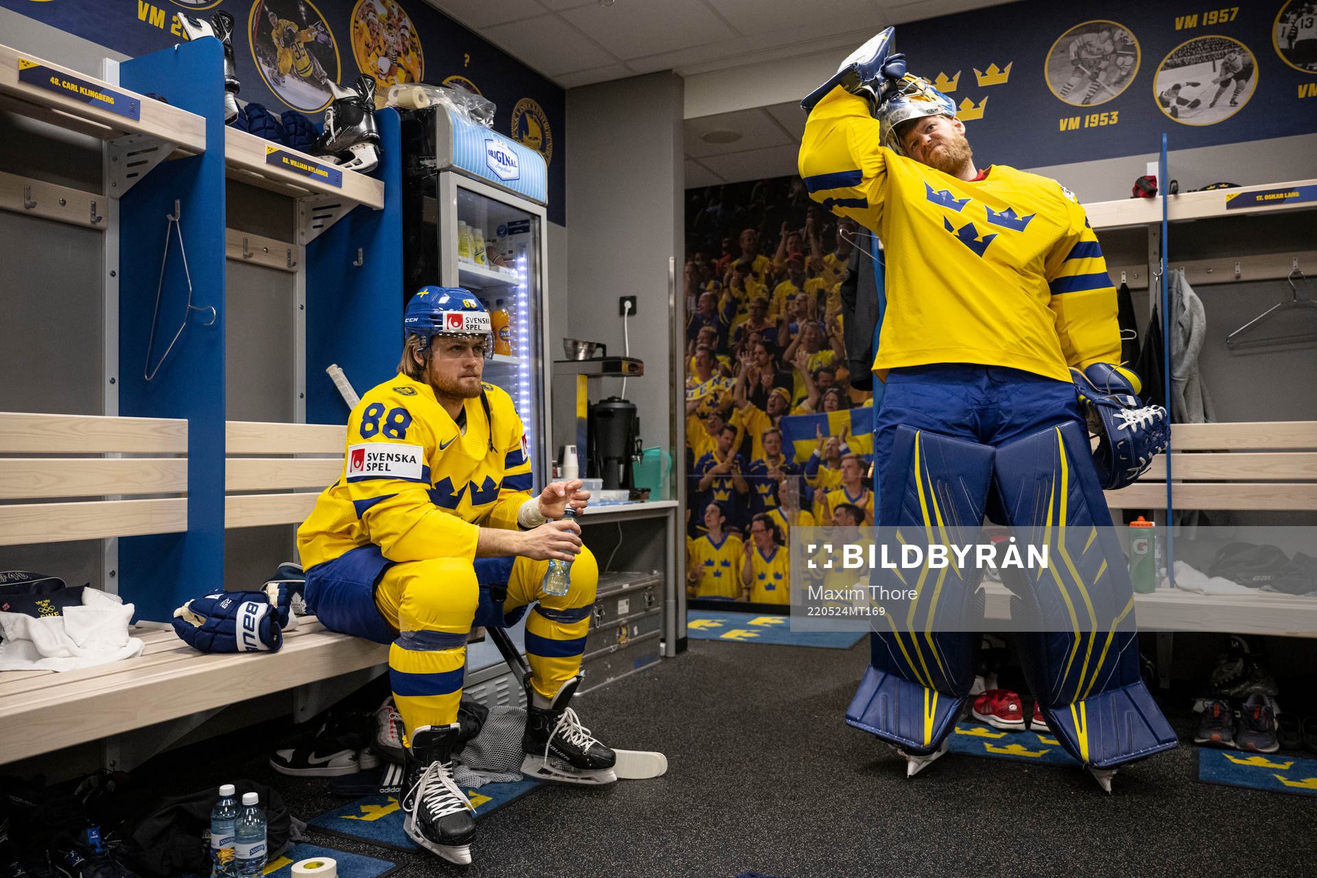 William Nylander and goaltender Magnus Hellberg of Sweden