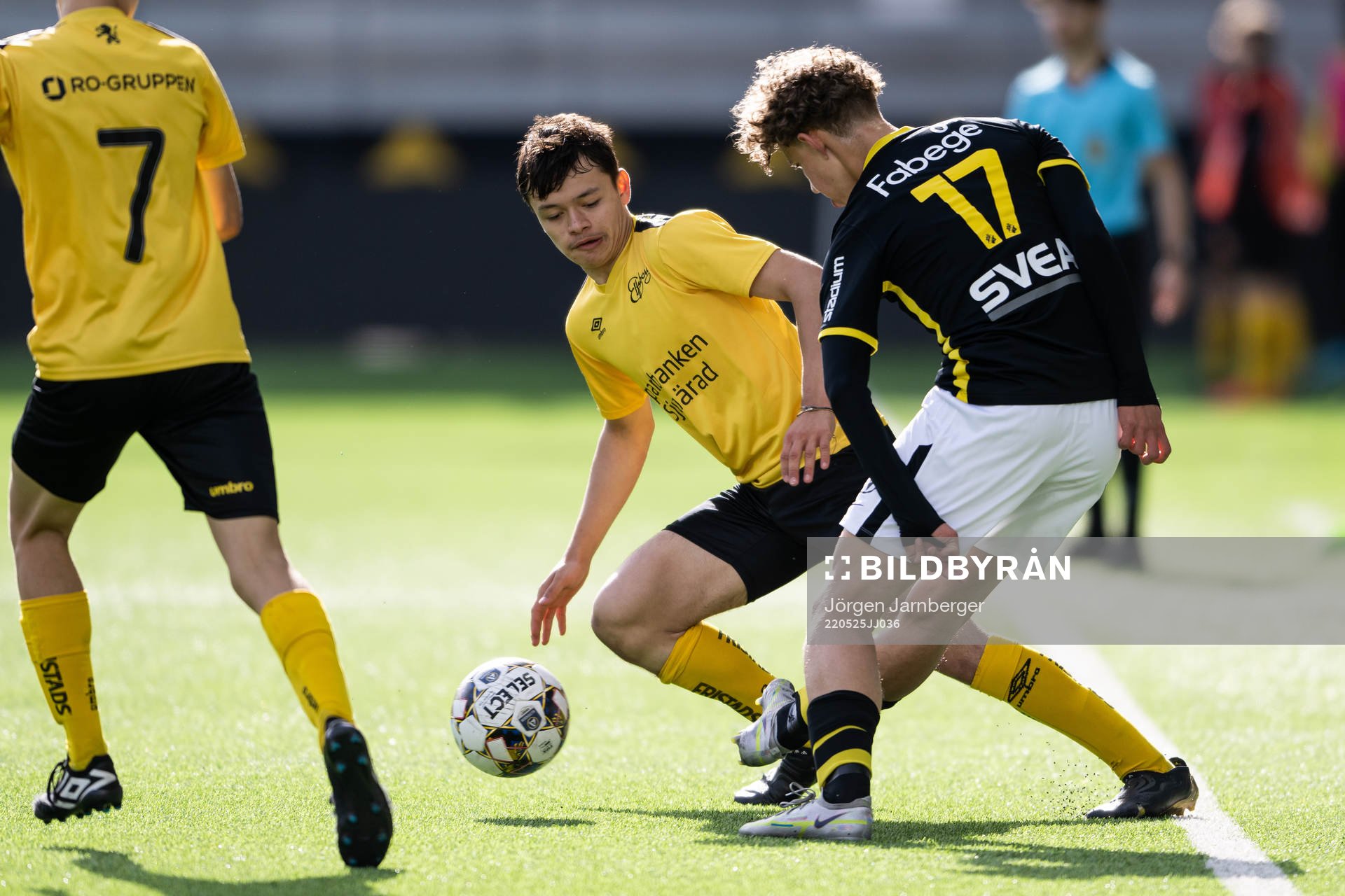 Elfsborgs Dag Hallgren