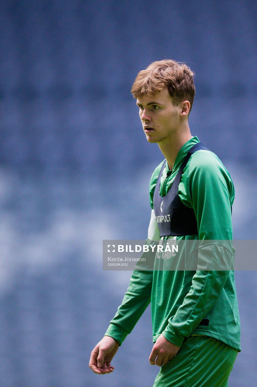 Hammarbys Williot Swedberg