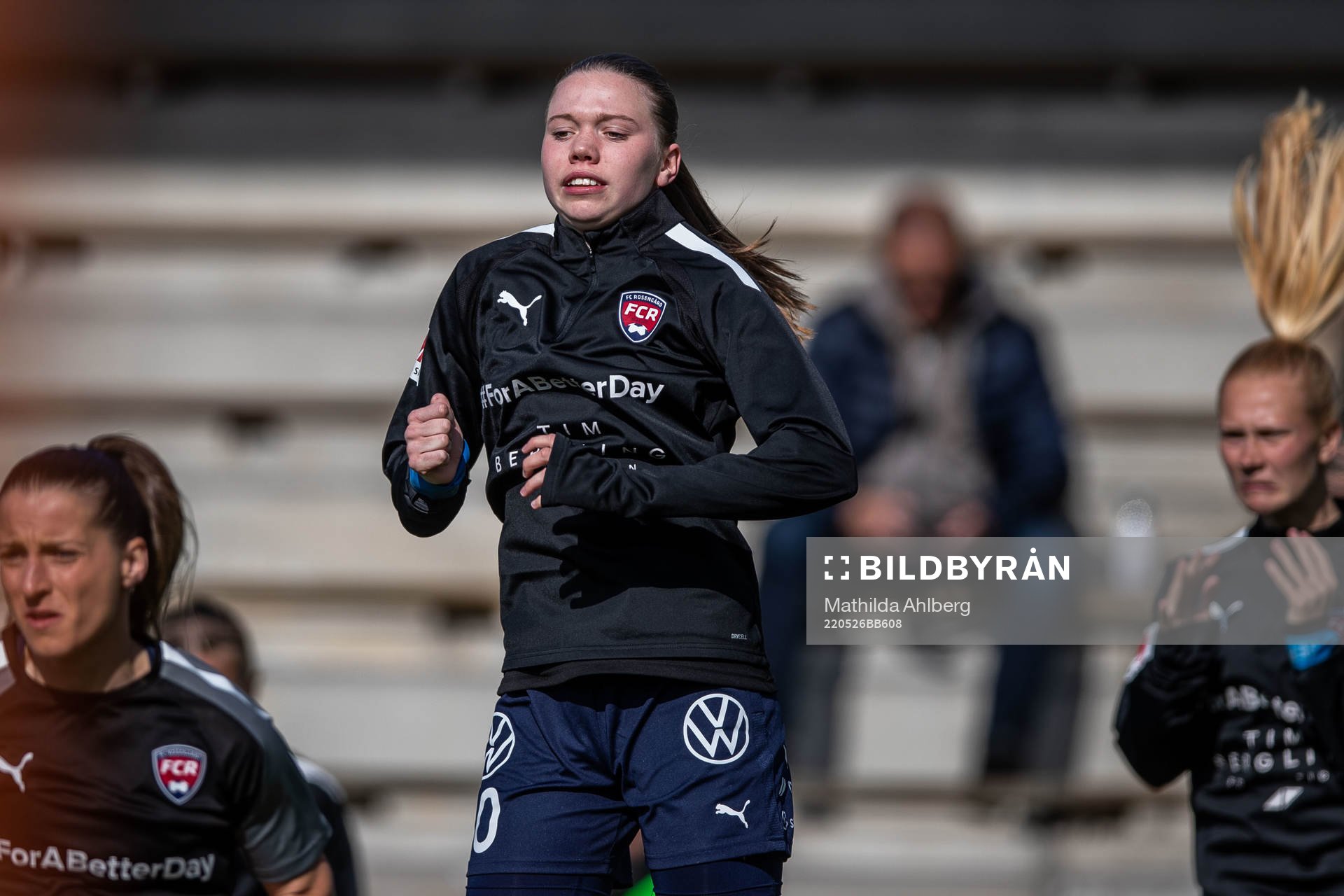 Rosengårds Bea Sprung