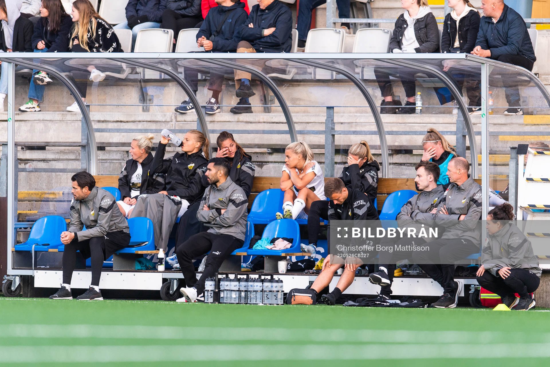 Häckens spelare och ledare deppar på bänken