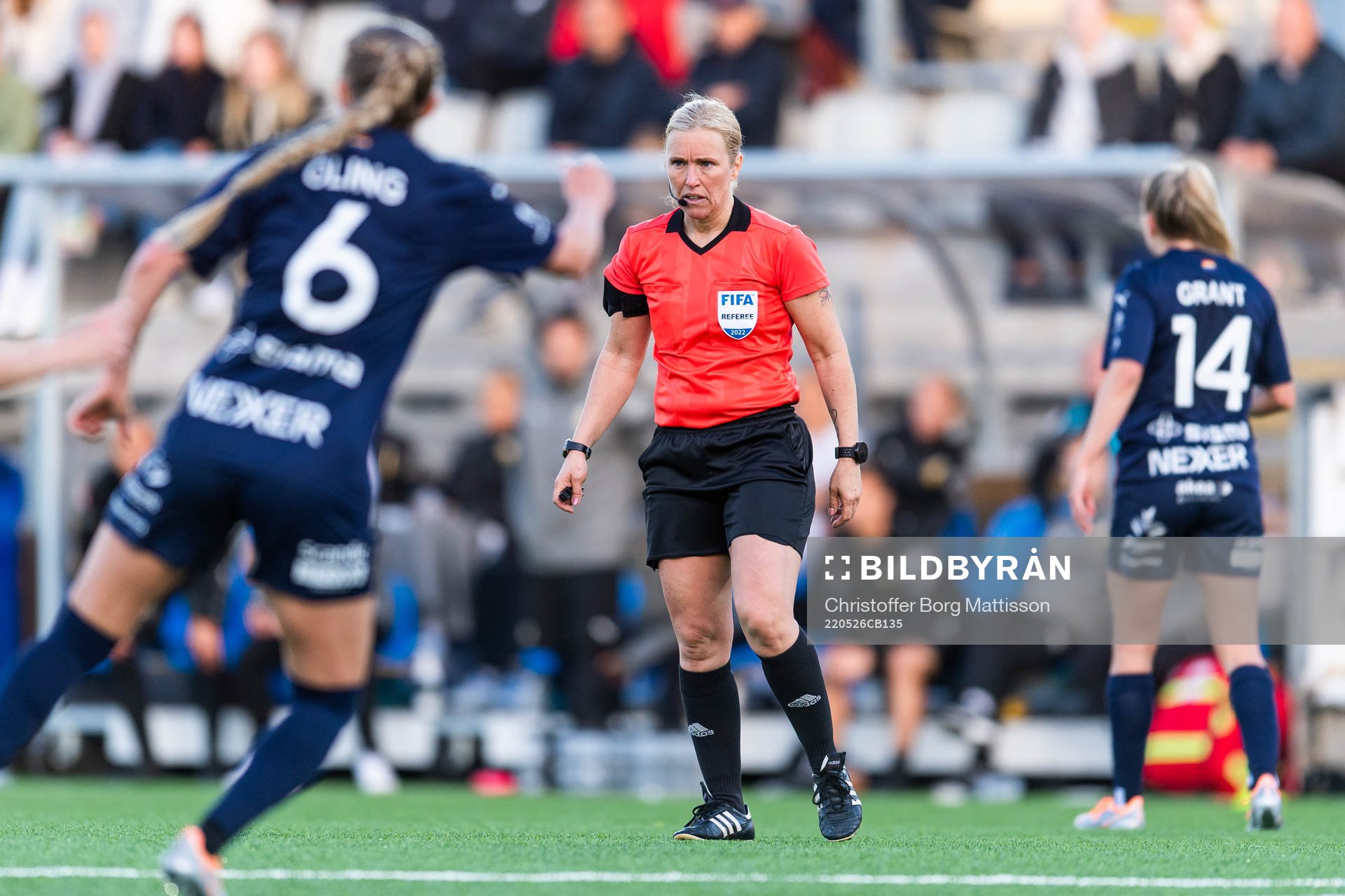 Domare Sara Persson