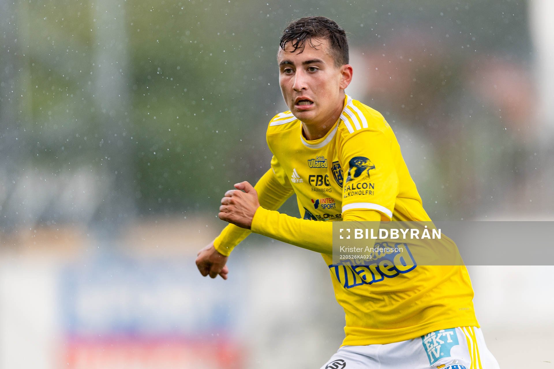 Falkenbergs Sewen Emilov