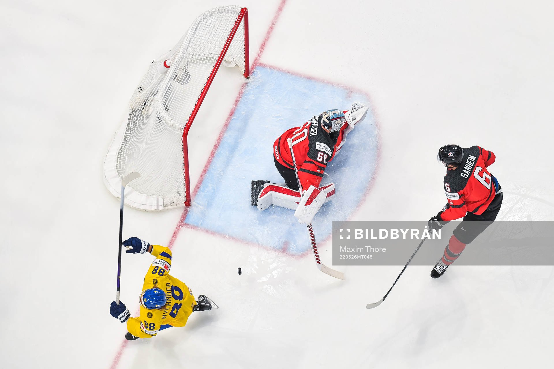 William Nylander of Sweden celebrates