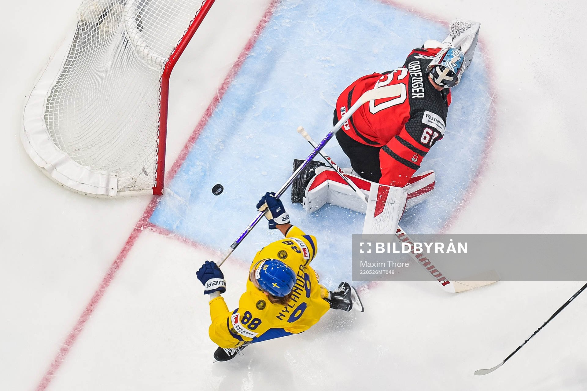 William Nylander of Sweden celebrates