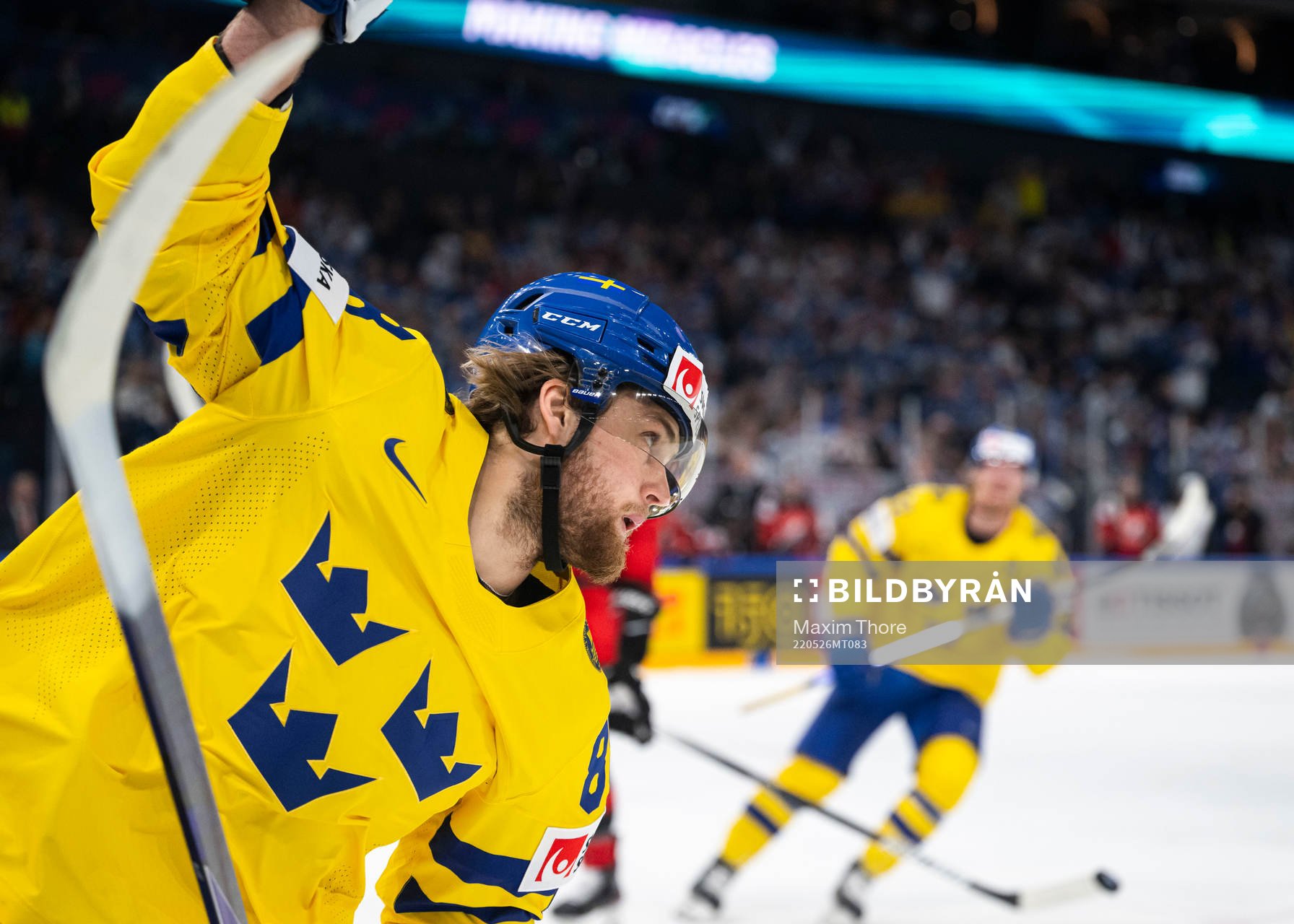 William Nylander of Sweden celebrates