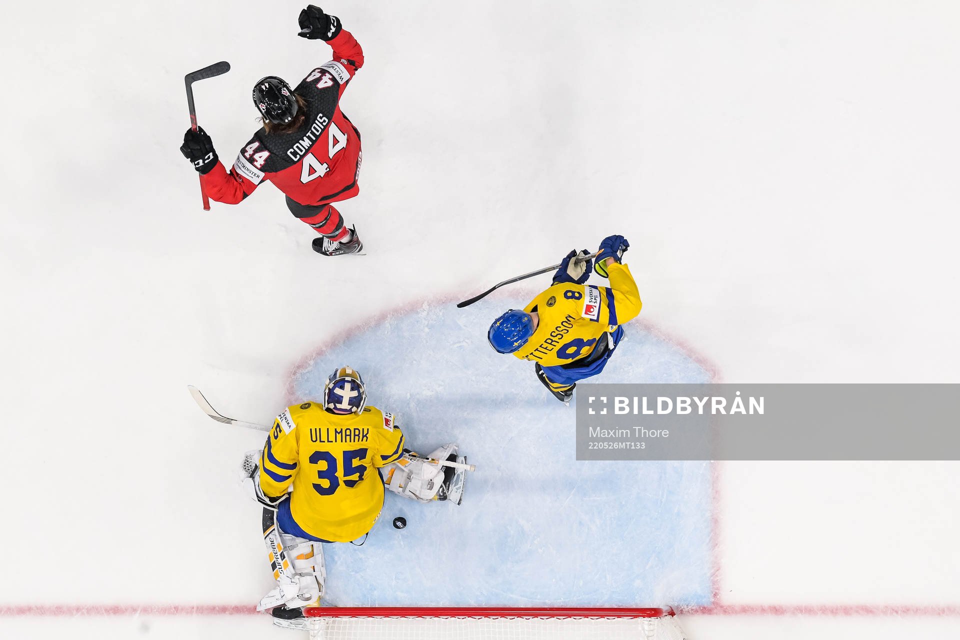 Marcus Pettersson and goaltender Linus Ullmark of Sweden