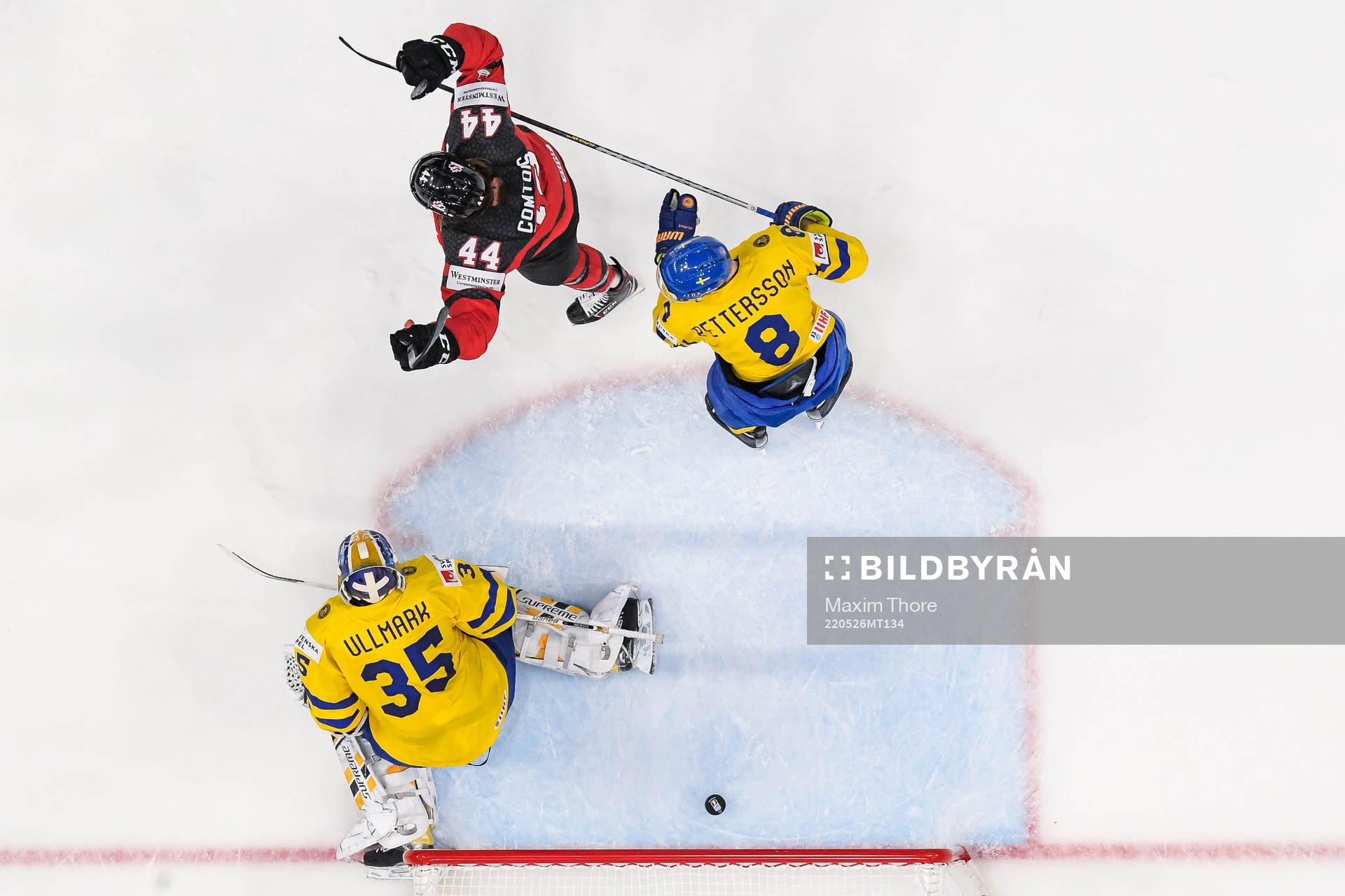 Marcus Pettersson and goaltender Linus Ullmark of Sweden