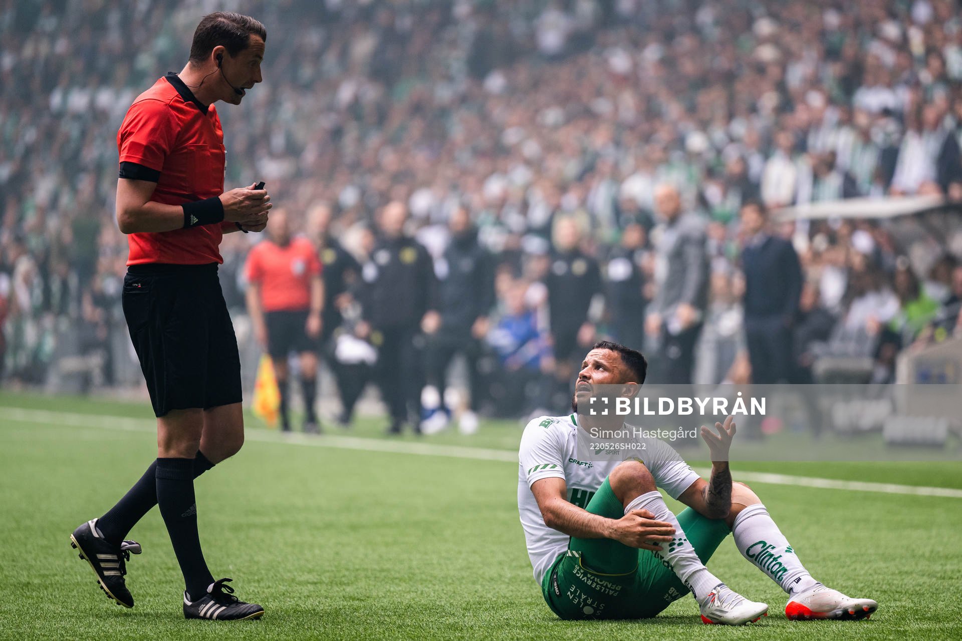 domare Andreas Ekberg och Hammarbys Darijan Bojanic