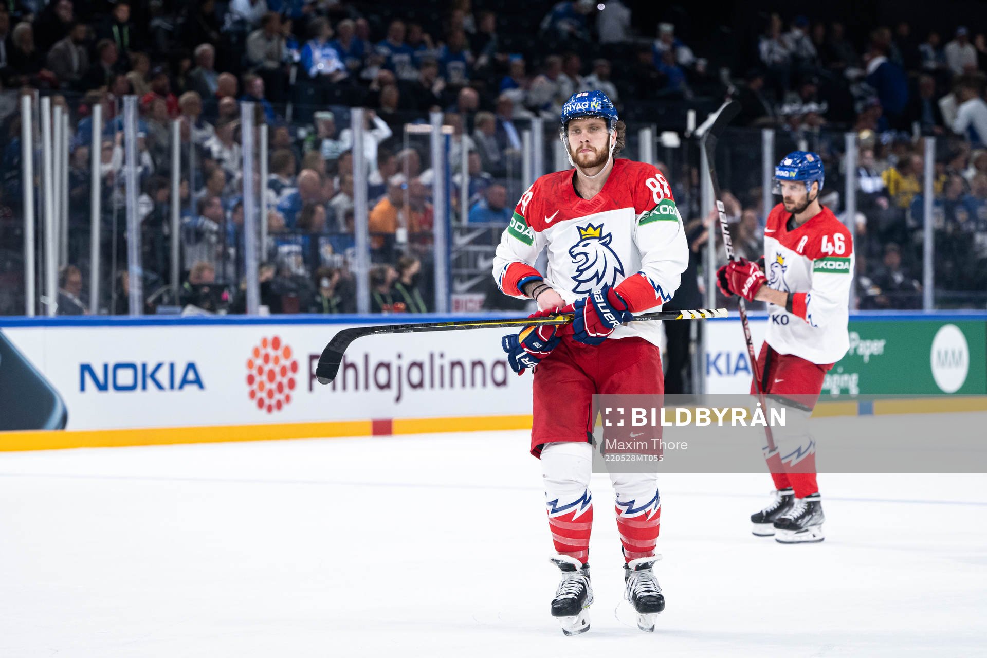 David Pastrnak of Czech Republic