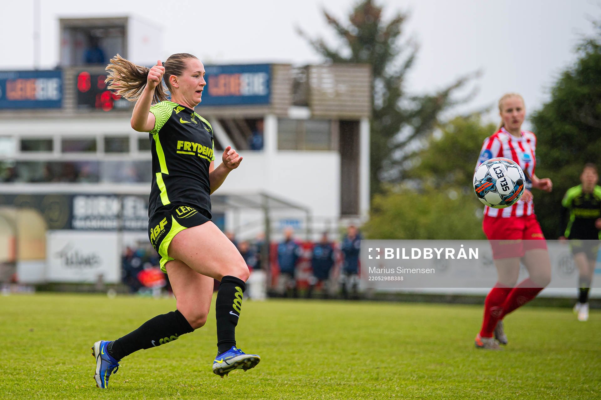 Elisabeth Terland of Brann