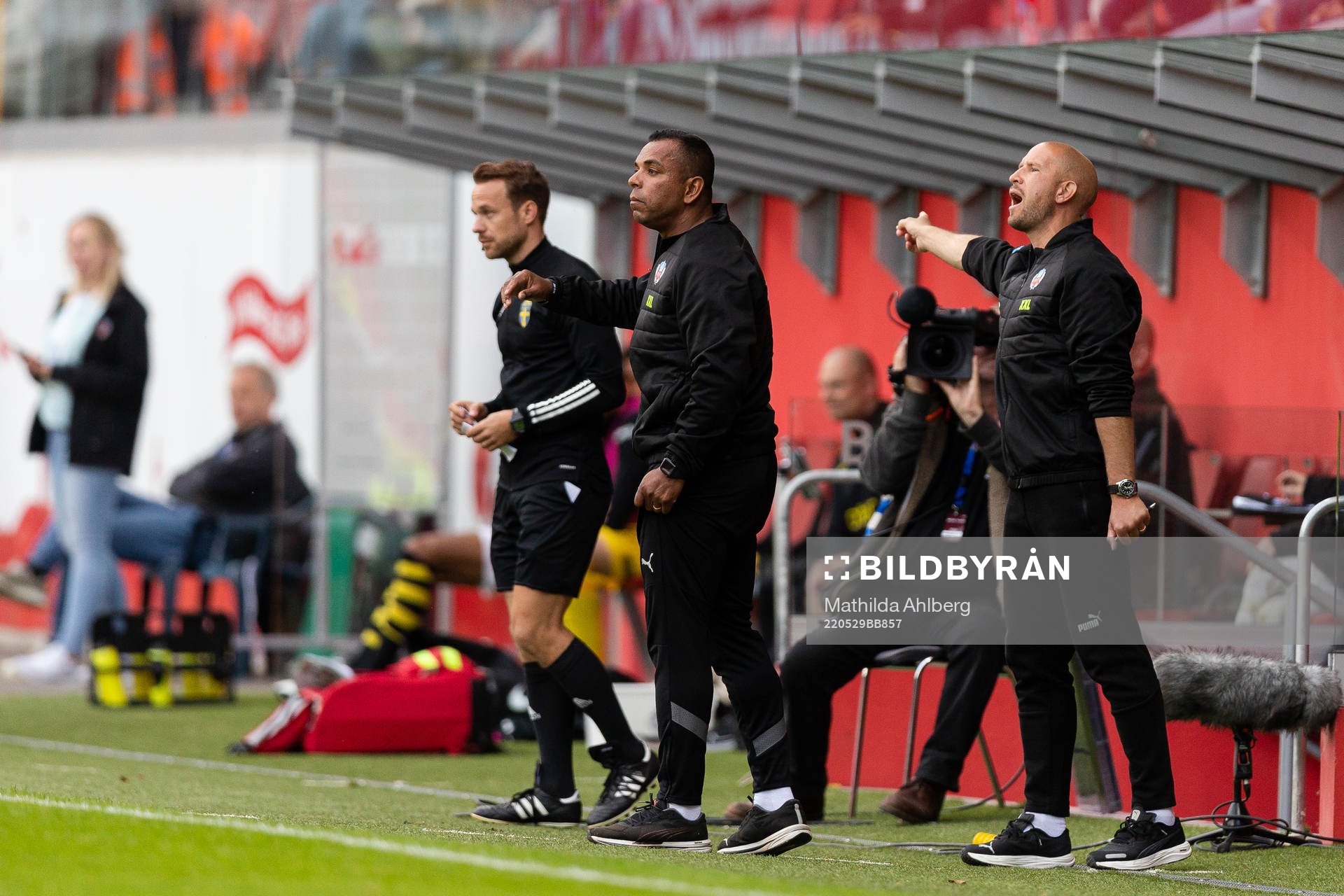 Helsingborgs tränare Alvaro Santos och Mattias Lindström