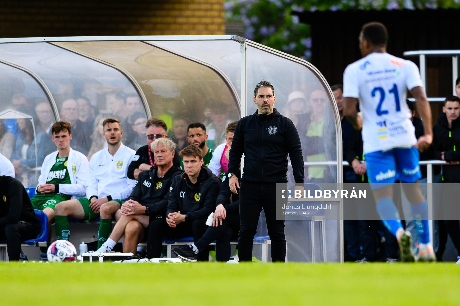 Hammarbys tränare Martí Cifuentes