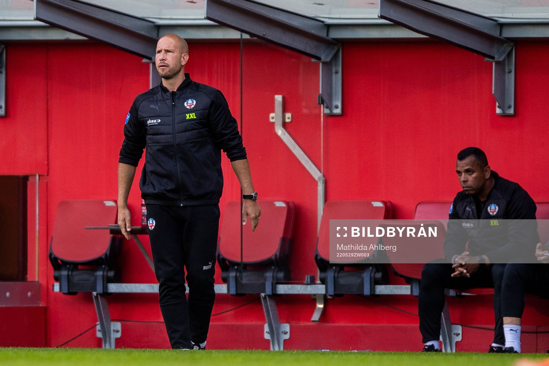Helsingborgs tränare Mattias Lindström och tränare