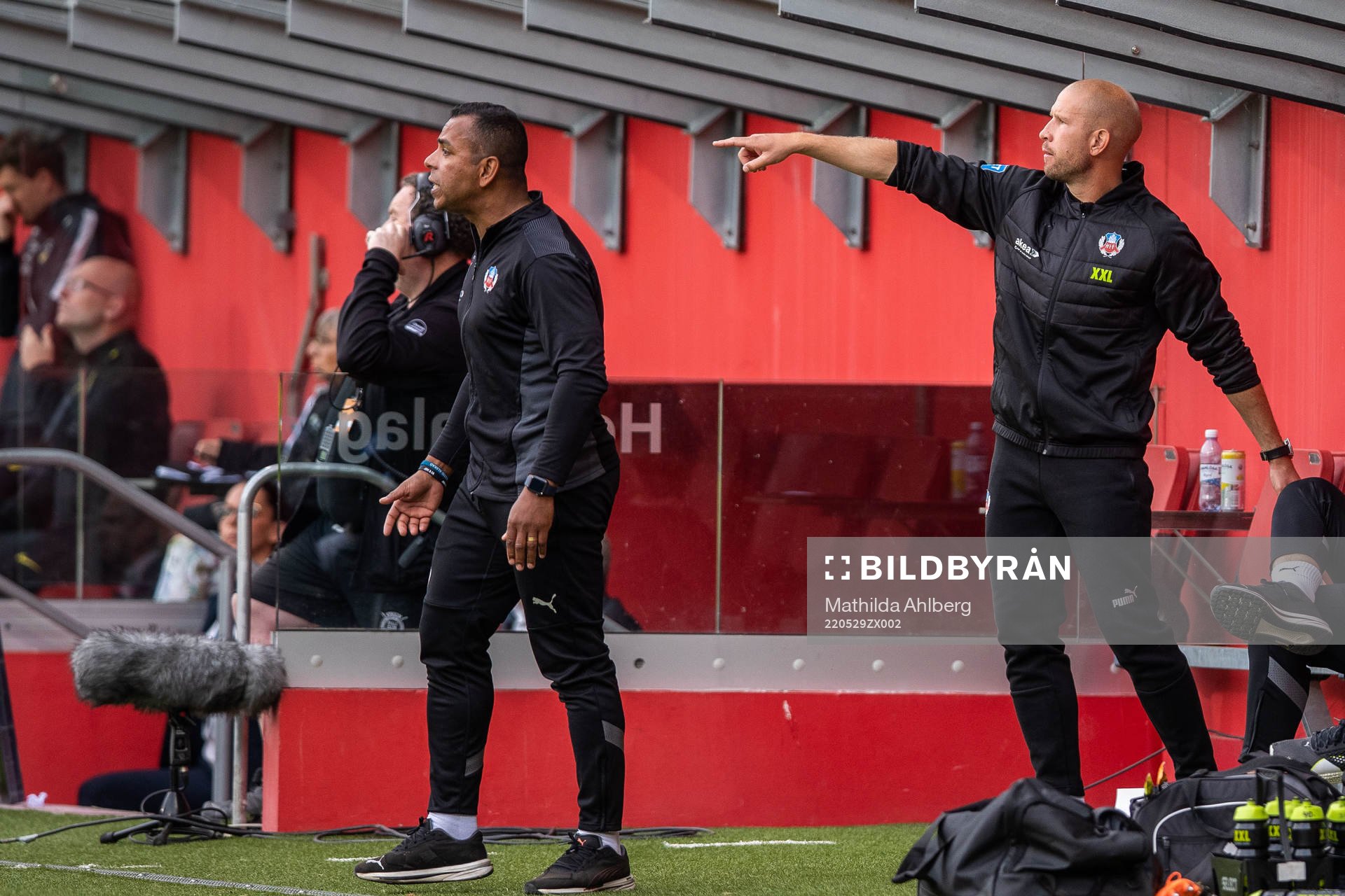 Helsingborgs tränare Alvaro Santos och tränare Mattias