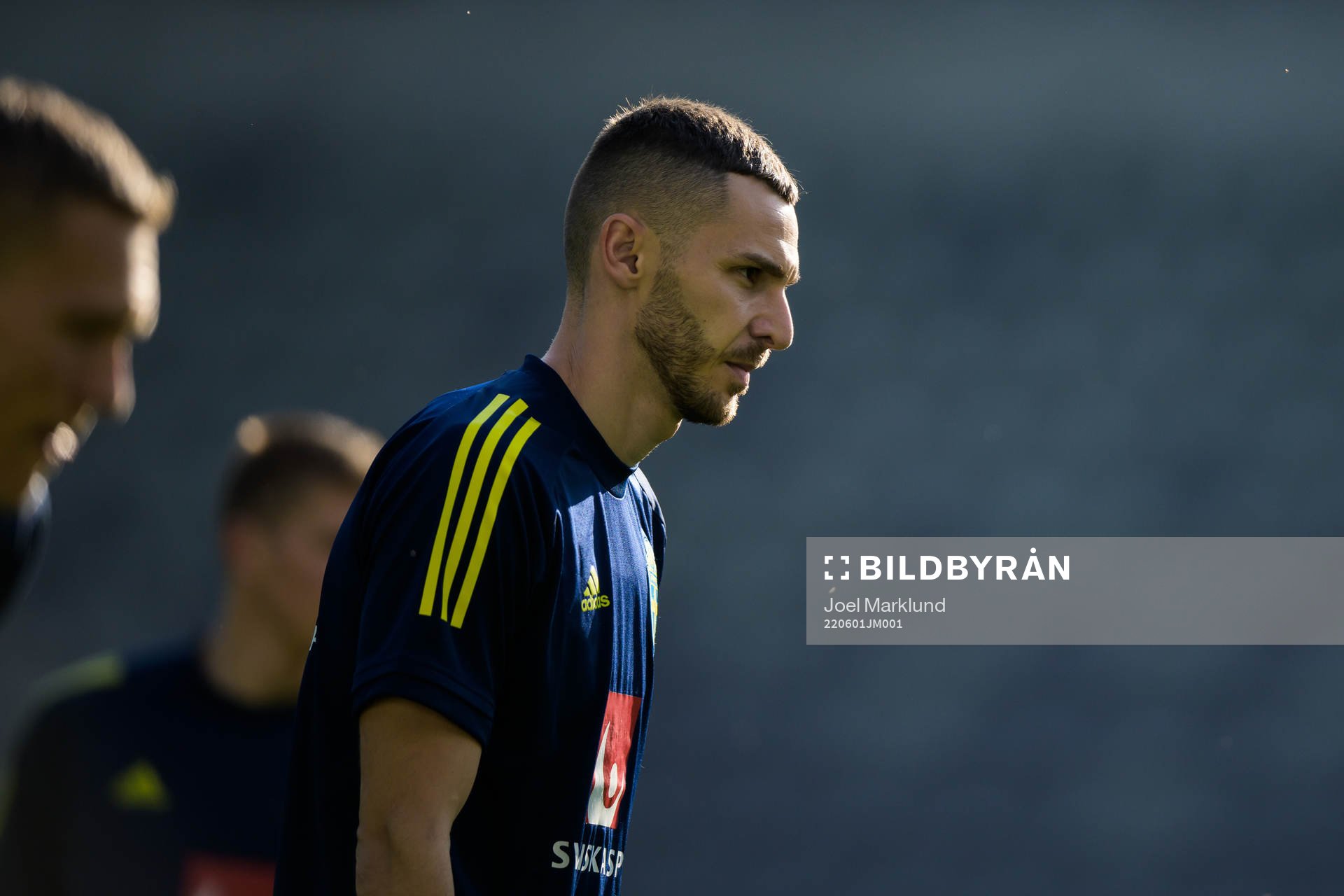 Branimir Hrgota of the Swedish national football team