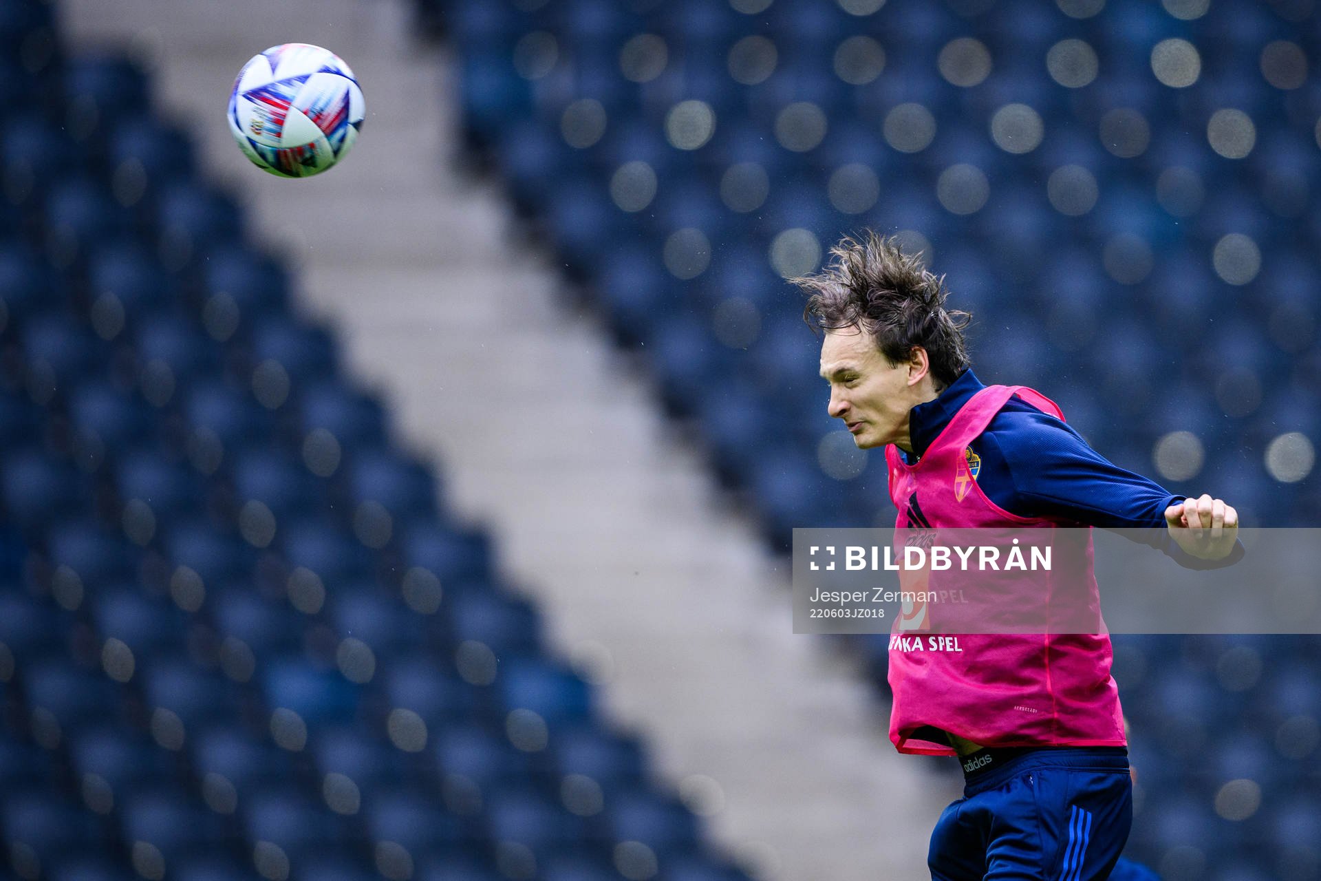 Hjalmar Ekdal of the Swedish national football team