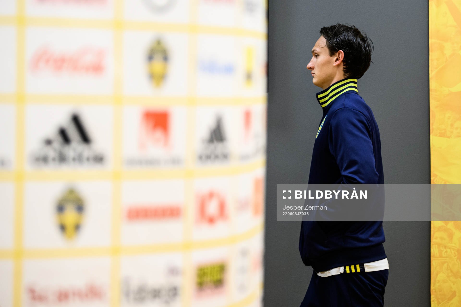 Hjalmar Ekdal of the Swedish national football team