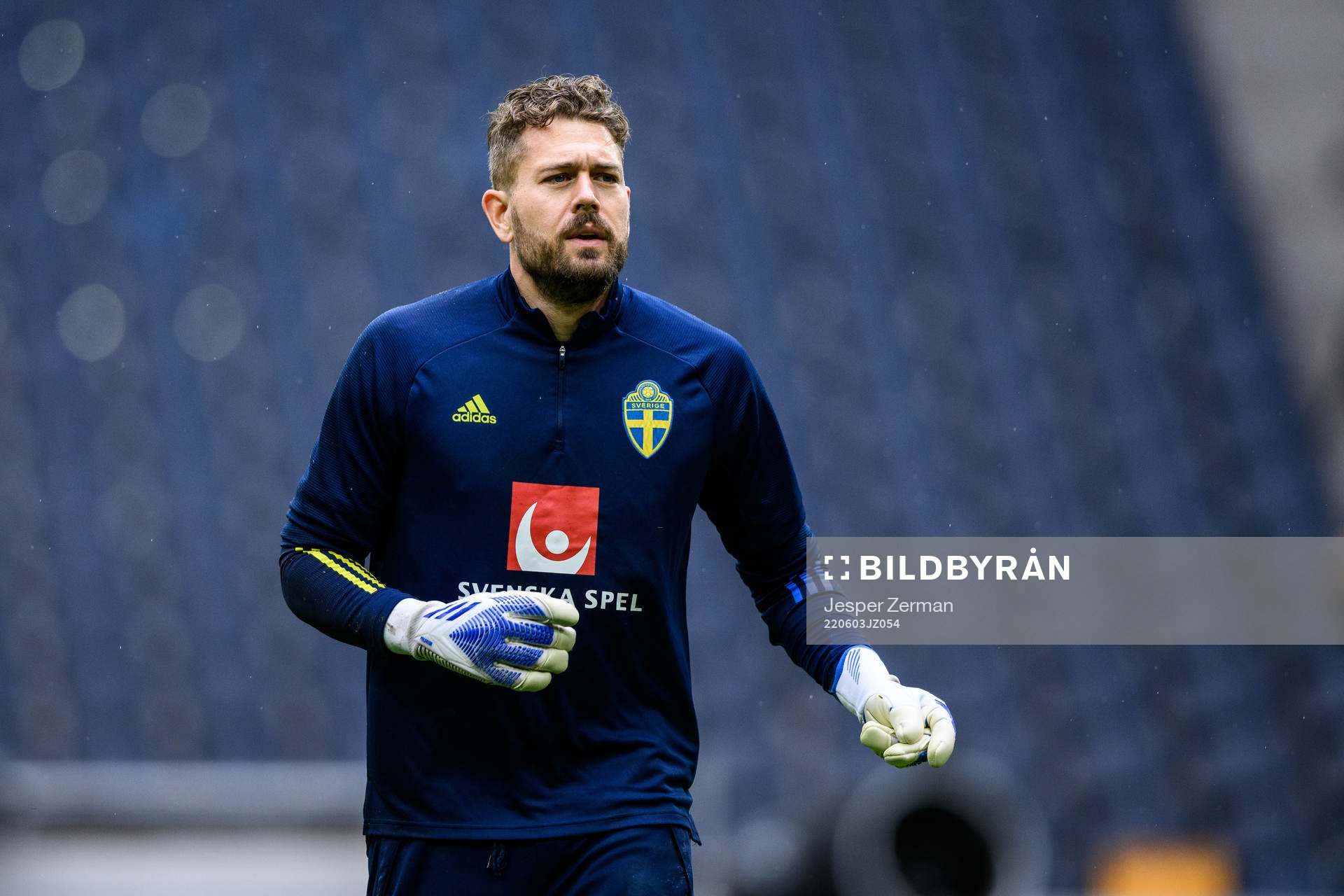 goalkeeper Kristoffer Nordfeldt of the Swedish national