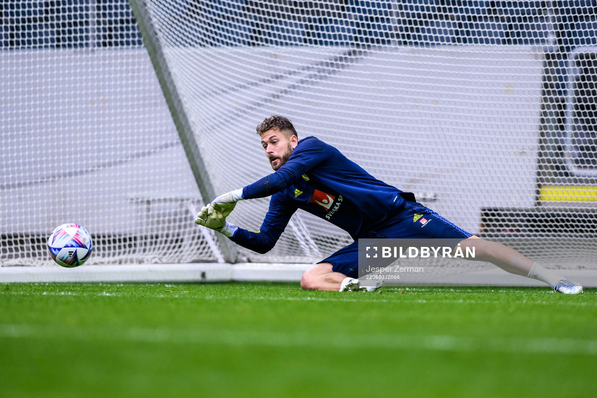 goalkeeper Kristoffer Nordfeldt of the Swedish national