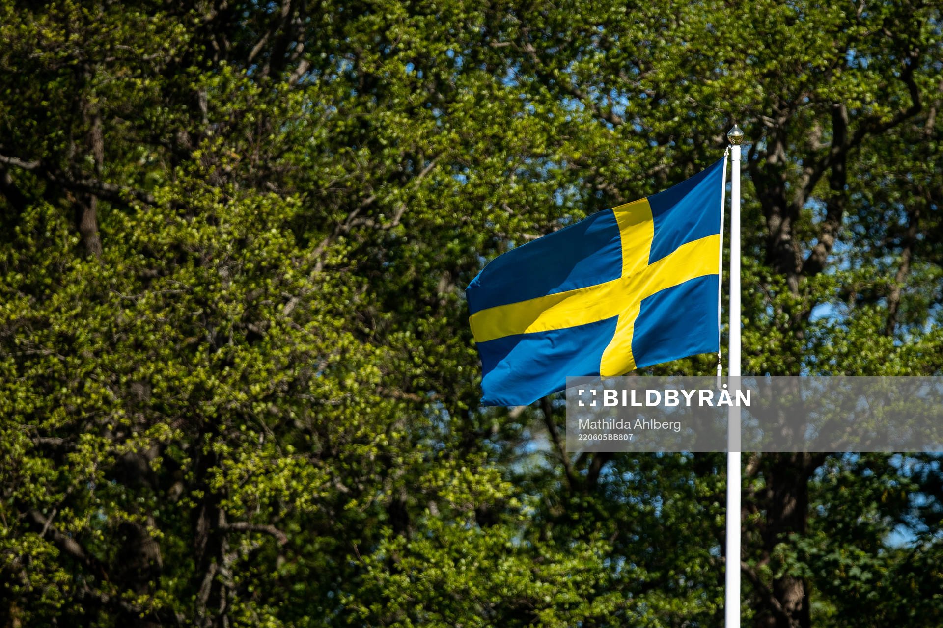 Svenska flaggan