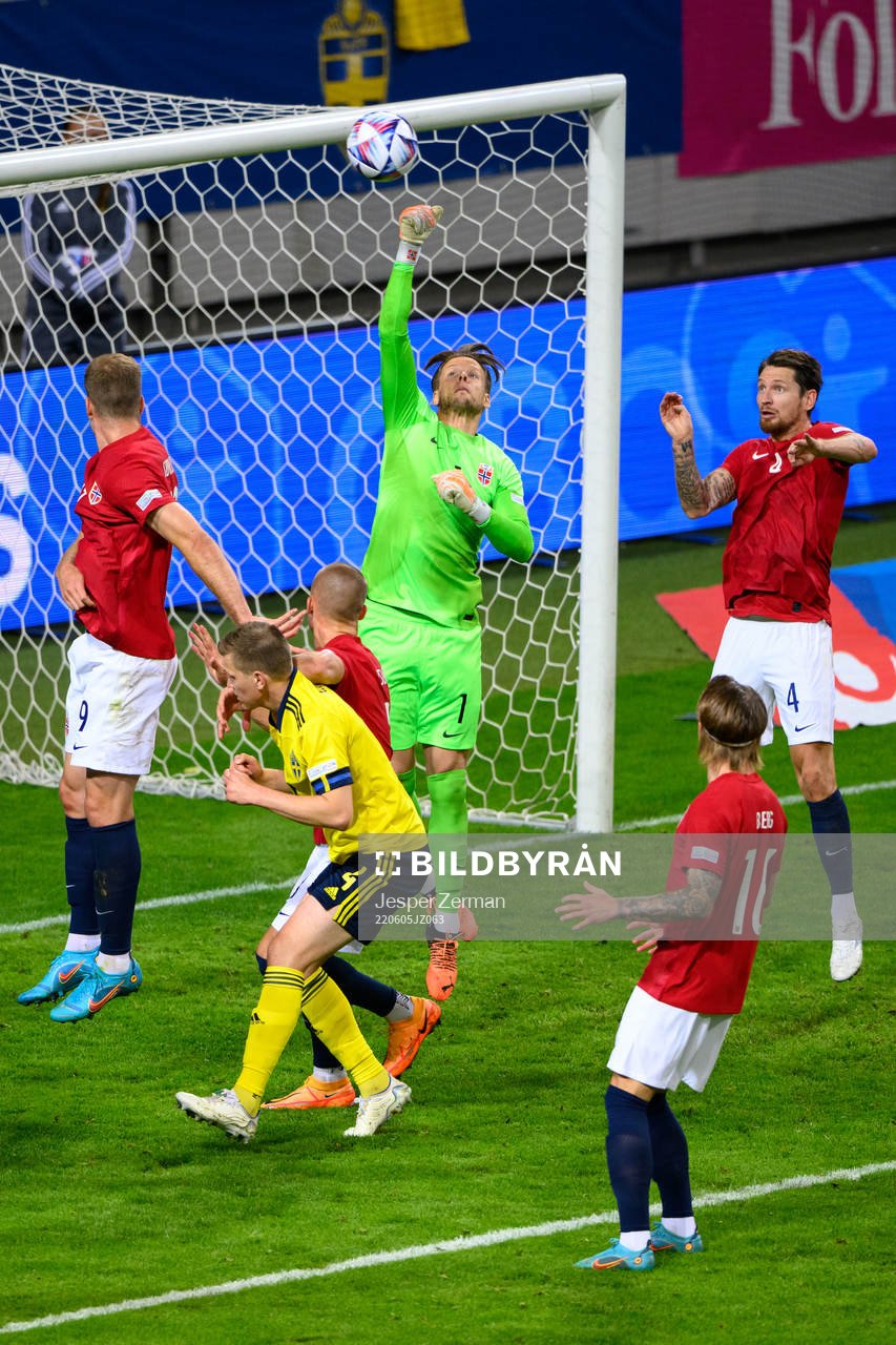 Goalkeeper Ørjan Håskjold Nyland of Norway
