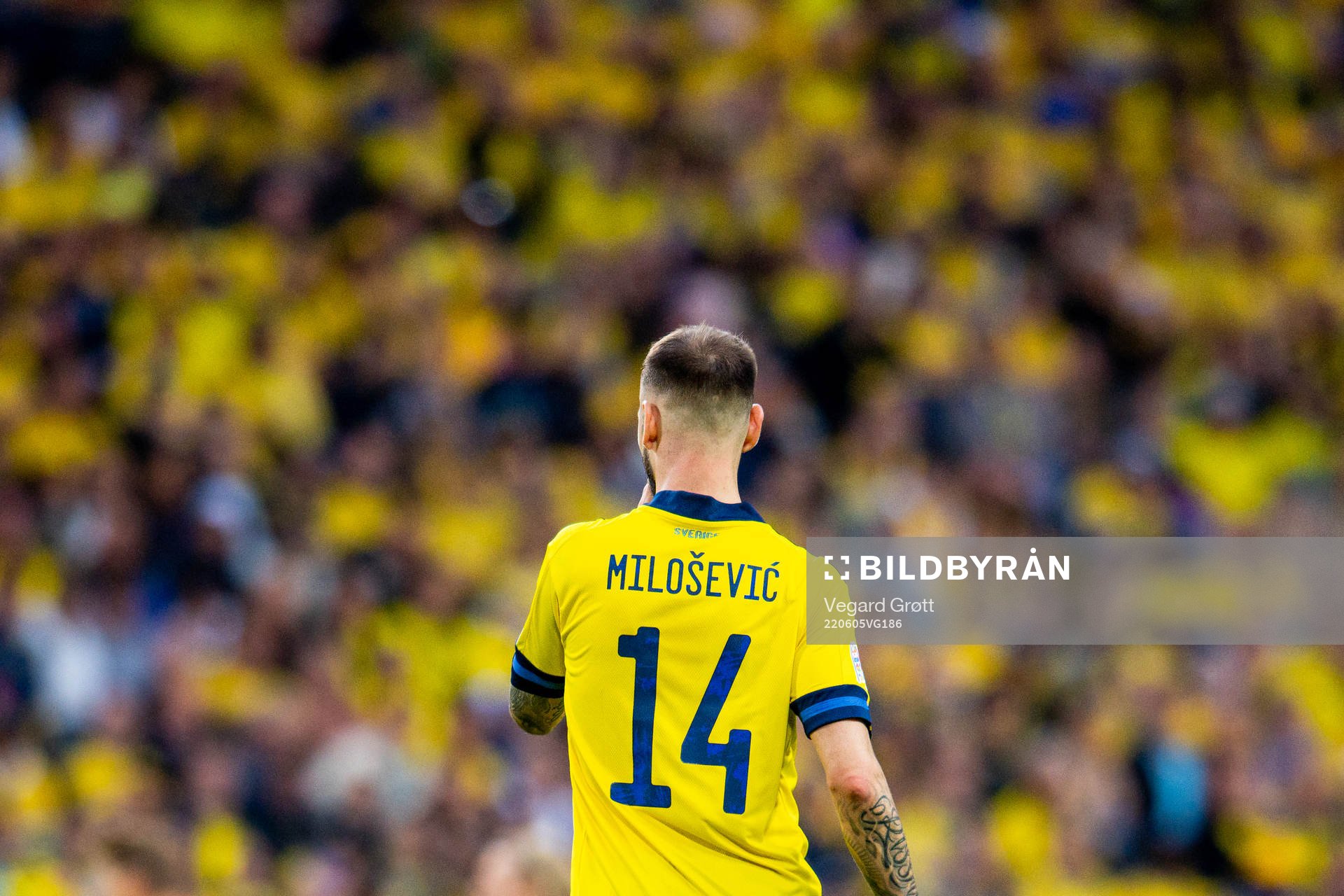 Alexander Milosevic of Sweden