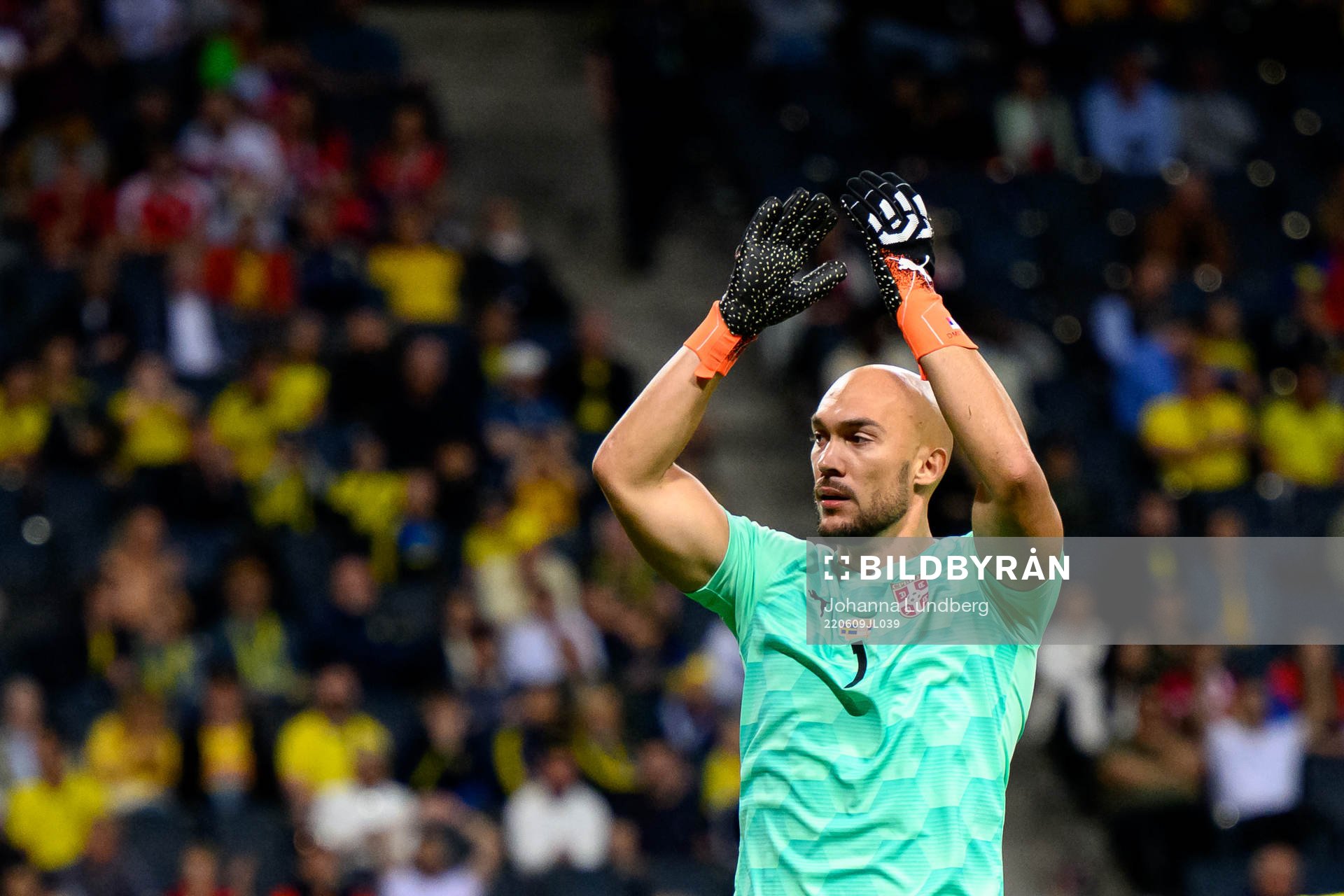 Goalkeeper Marko Dmitrovic of Serbia reatcs
