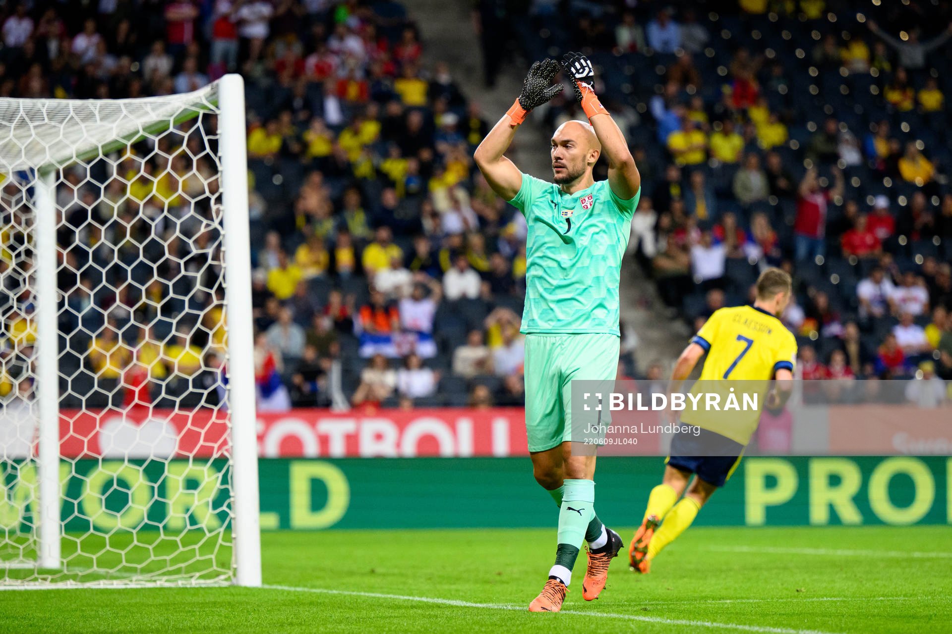 Goalkeeper Marko Dmitrovic of Serbia reatcs