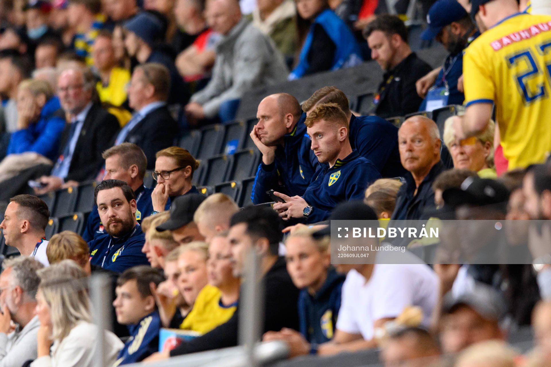 Dejan Kulusevski of Sweden in the stands