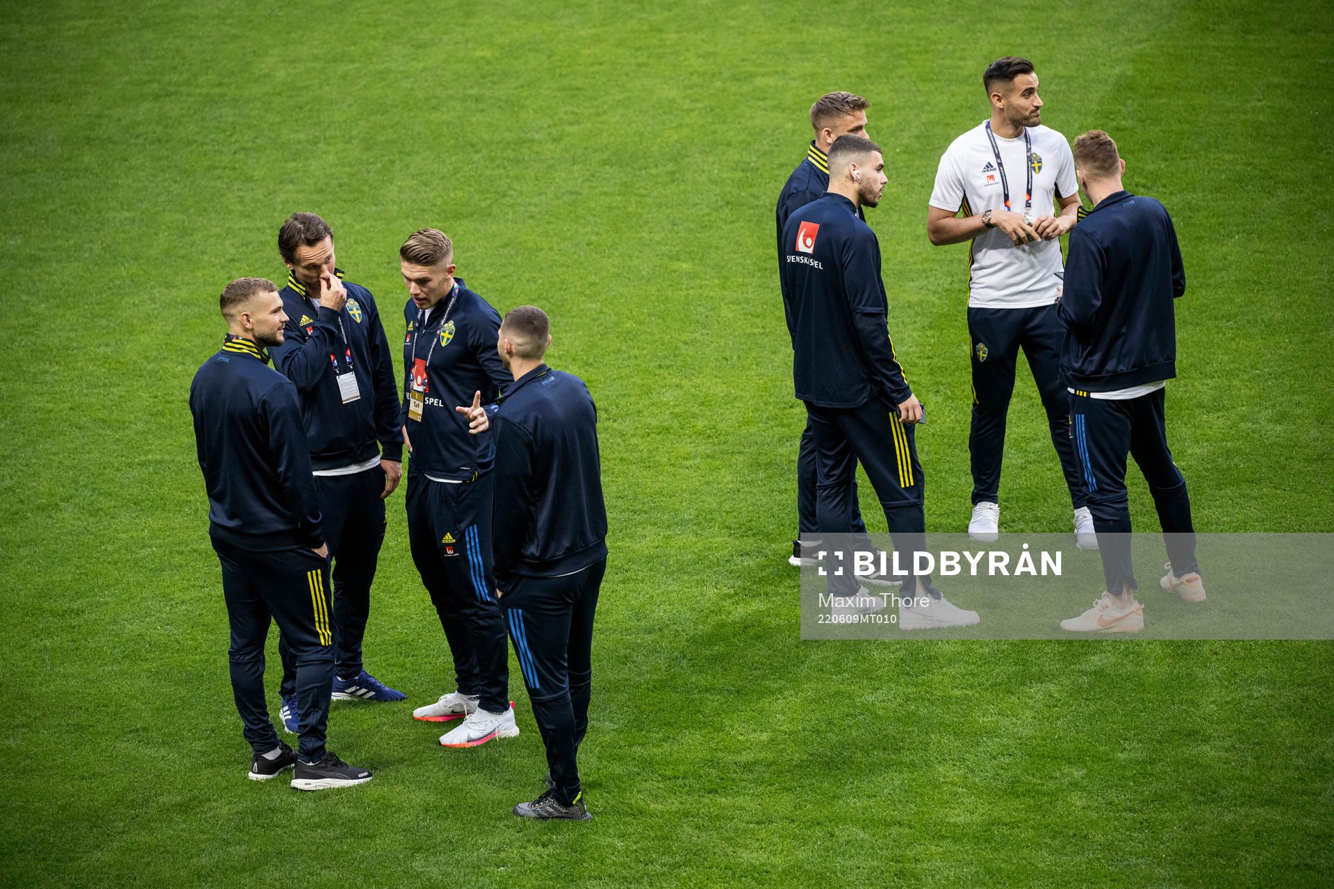 Players of Sweden