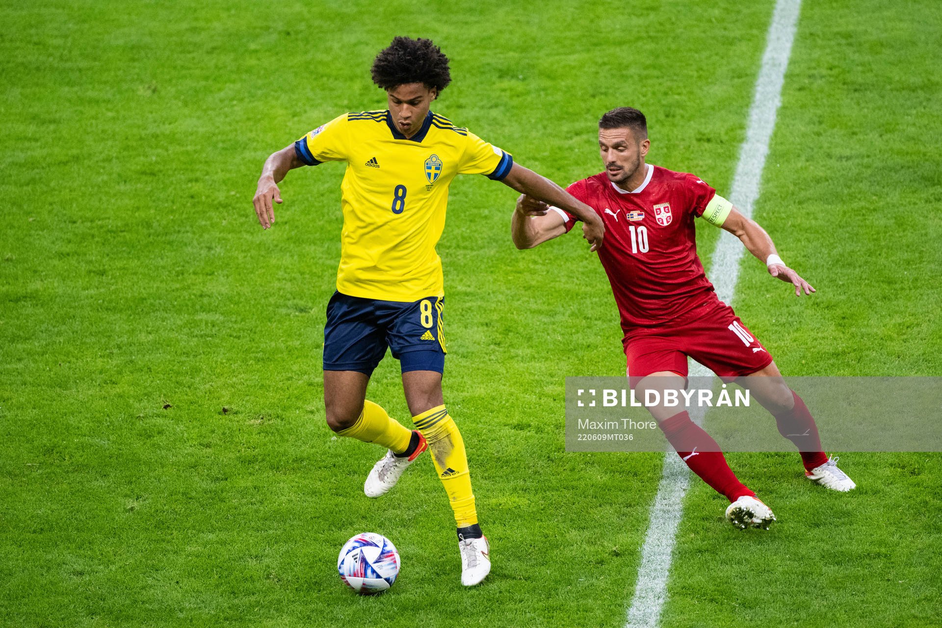 Jens Cajuste of Sweden and Dusan Tadic of Serbia