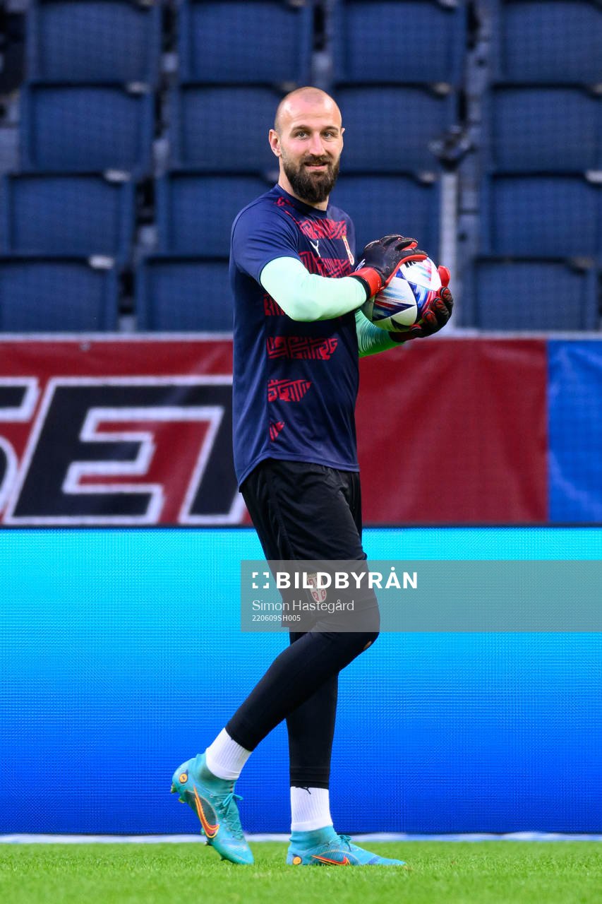 Goalkeeper Vanja Milinkovic-Savic of Serbia