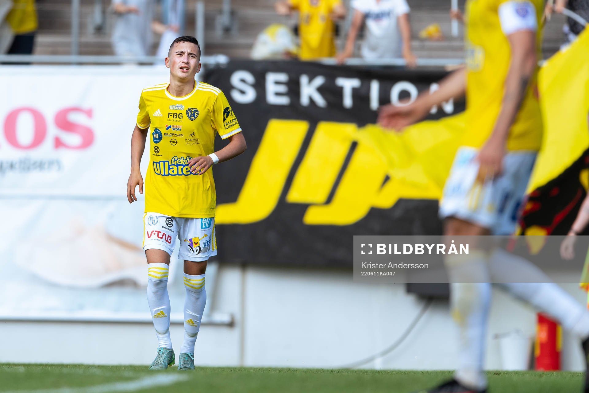 Falkenbergs Sewen Emilov