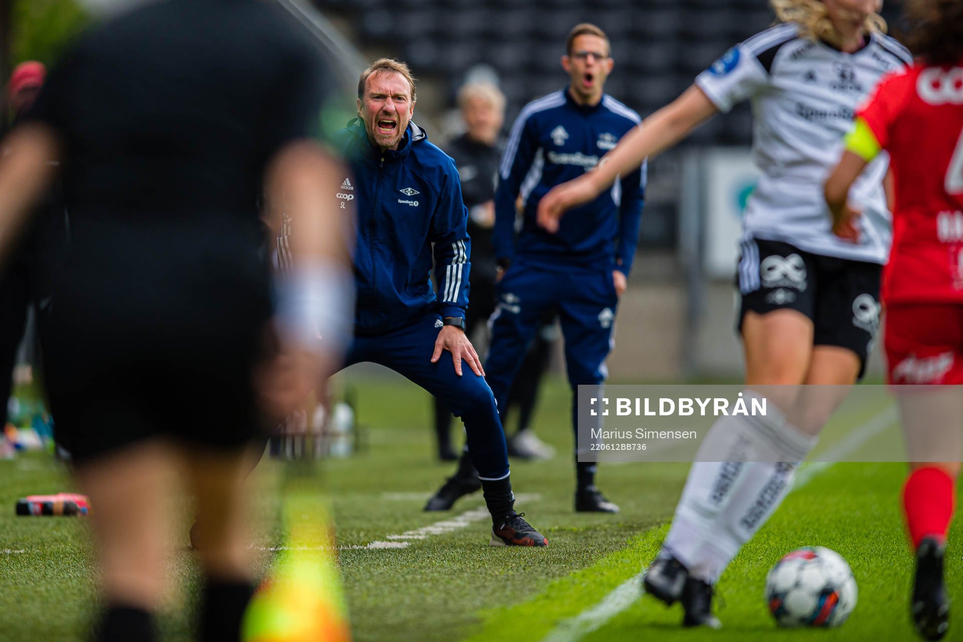 Steinar Lein, head coach of Rosenborg