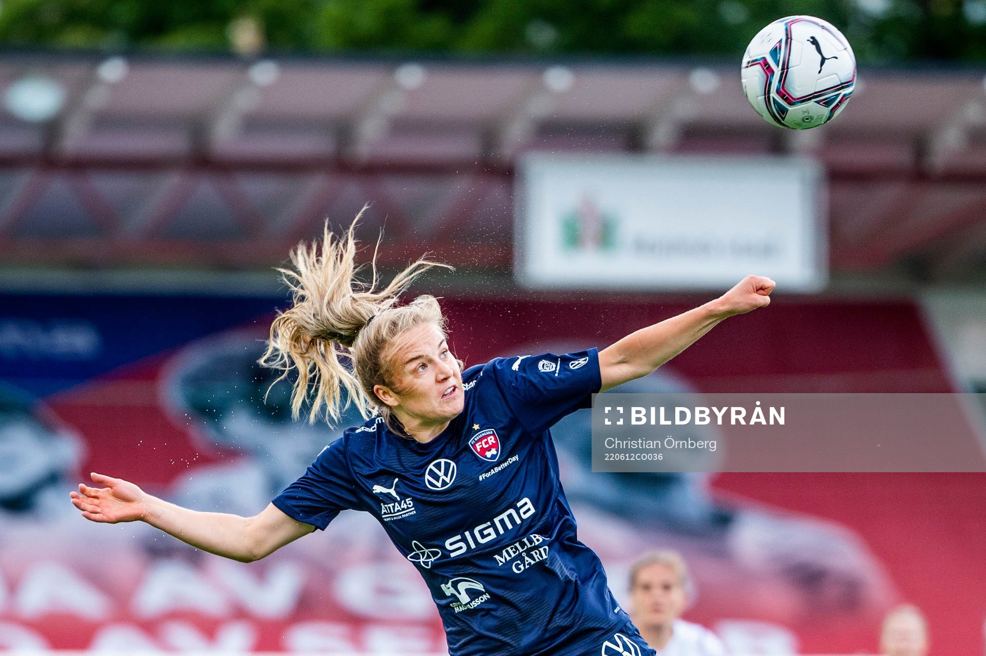 Rosengårds Fiona Brown
