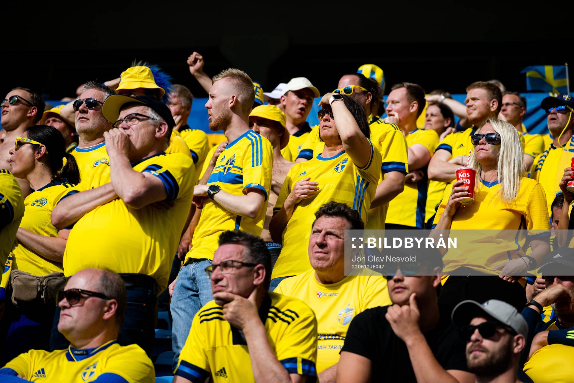 Fans of Sweden