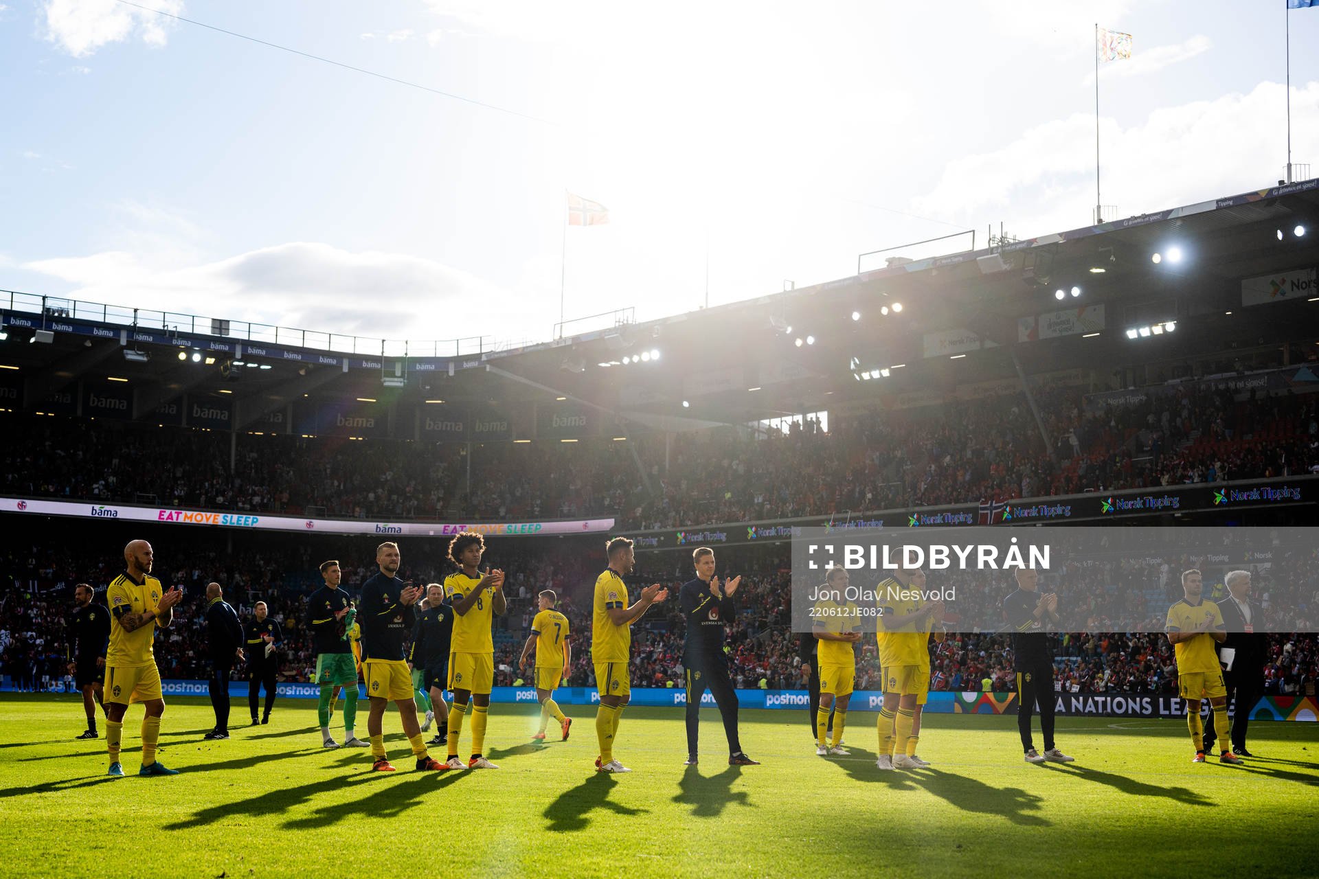 Players of Sweden